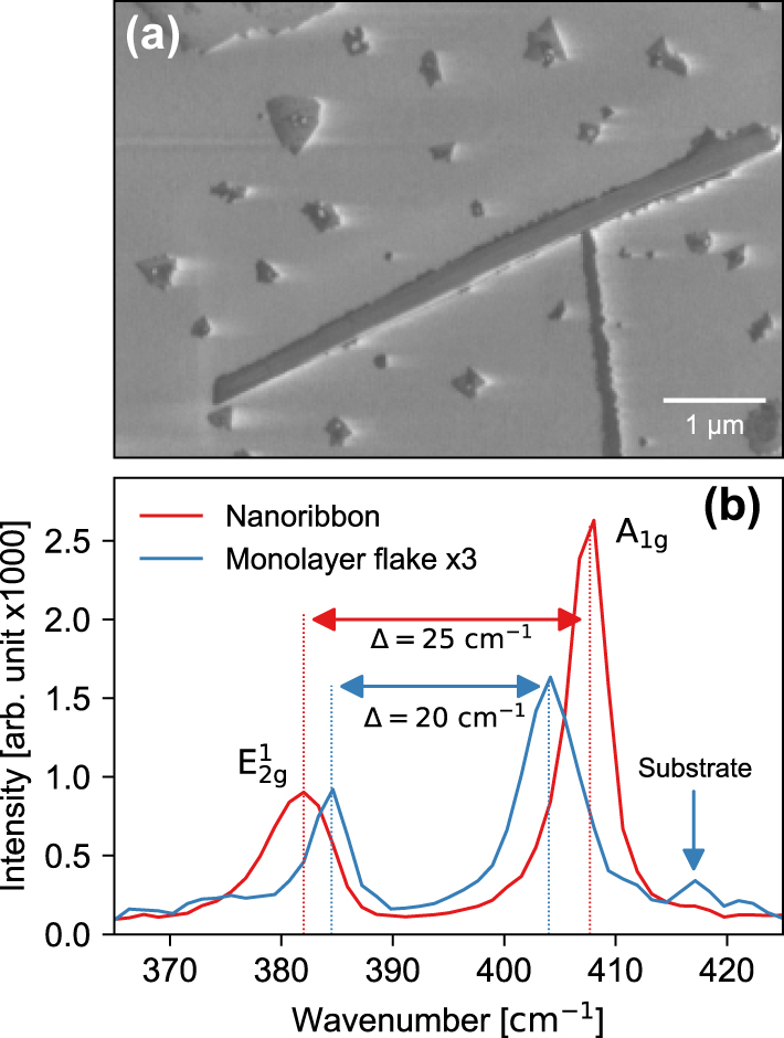 Figure 1: 
Characteristic nanoribbon properties. (a) SEM image of a characteristic MoS2 nanoribbon surrounded by triangular 2D and 3D crystallites of MoS2 and (b) Raman spectrum obtained from a region of the MoS2 nanoribbon (blue) and on a 2D MoS2 crystal (orange). The signal from monolayer MoS2 has been multiplied by a factor of 3 for better representation.
