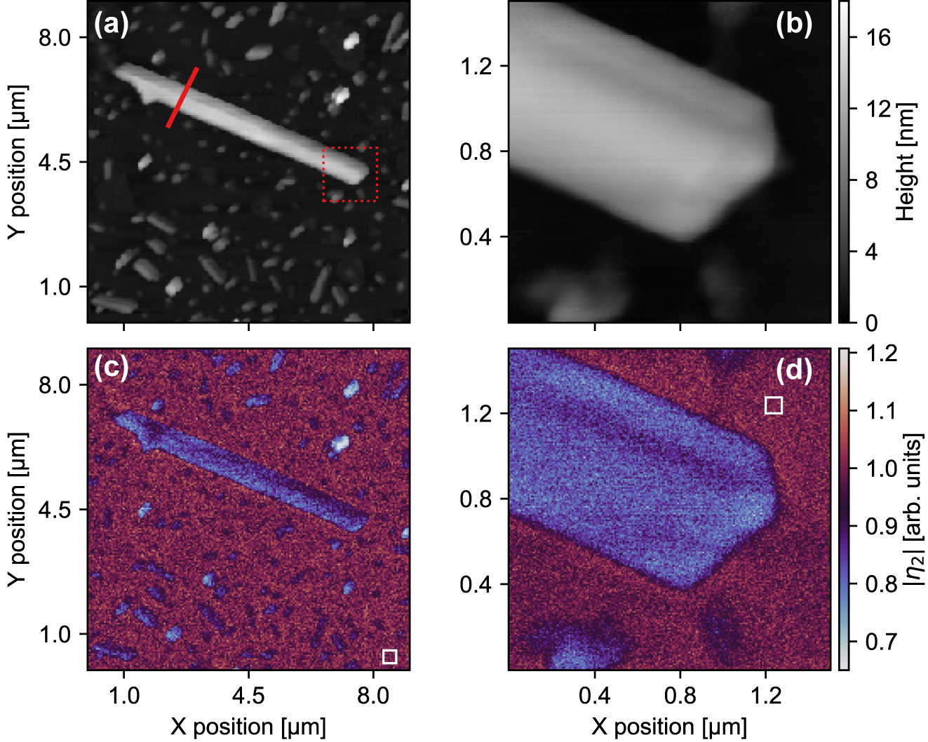 Figure 2: 
Topography and scattering contrast maps. (a) AFM images of the selected MoS2 nanoribbon and (b) a zoom-in scan of one end of the nanoribbon as indicated by the red dotted square in (a). The red line in (a) indicates the position of the spectroscopic line scan (THz nanoscopy). The corresponding white-light mode imaging maps, (c) overview and (d) zoom-in, of the near-field contrast (second-order demodulated scattered signal). The white squares in (c) and (d) indicate the areas used to generate a mean substrate response for normalization.

