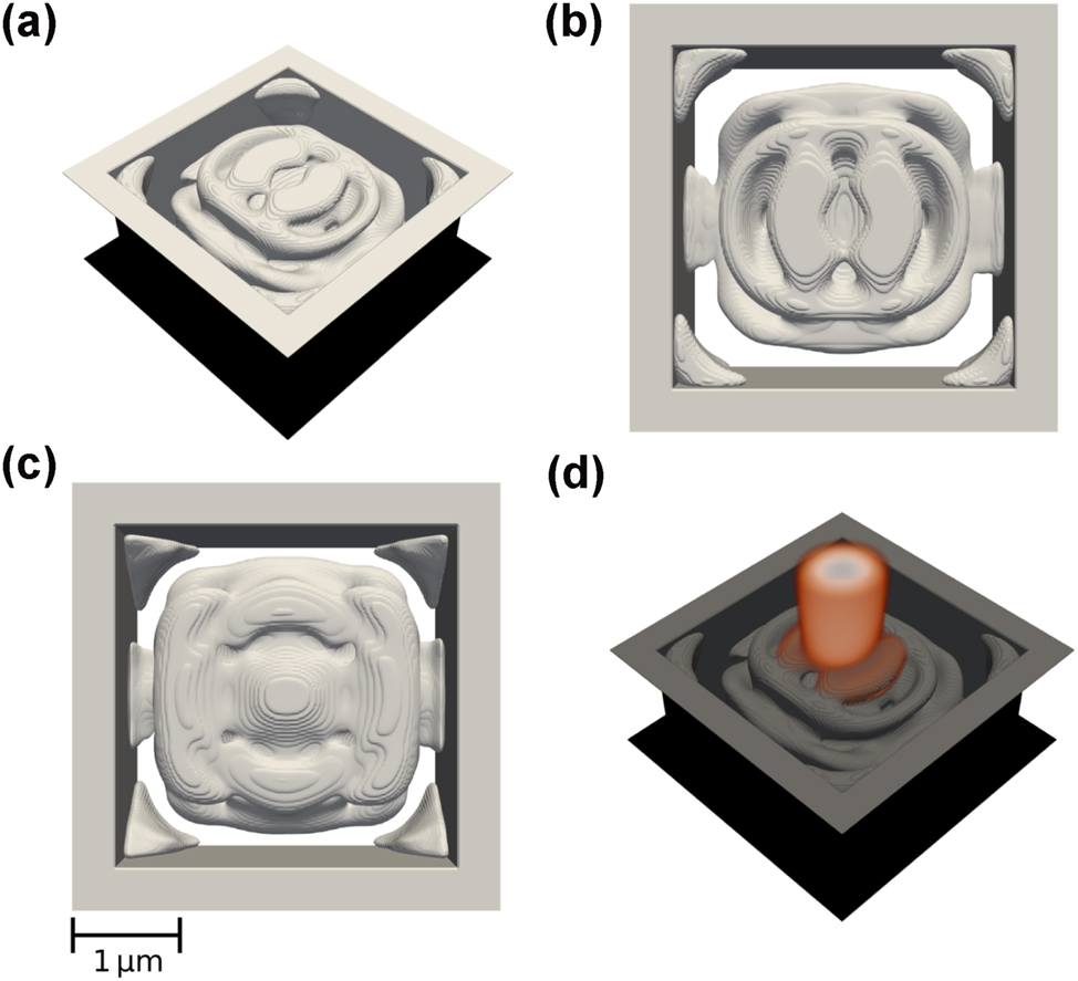 Figure 3:
Best performing focusing device with enforced structural integrity, shown from different angles: Tilted (a), top view (b), and side view (c). The electric field distribution |E
x
| is shown in (d).