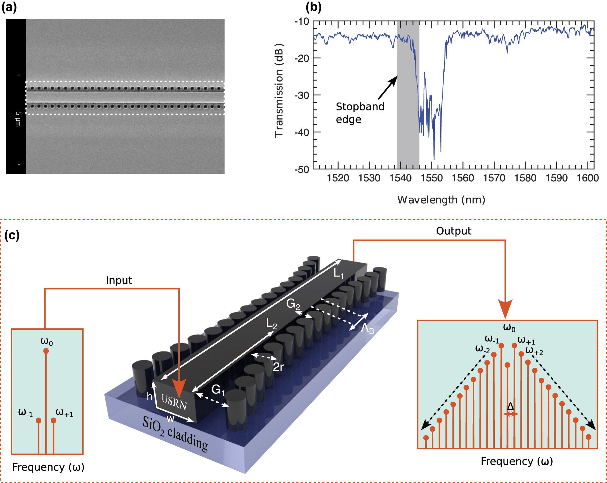 Figure 1: 
Device description: (a) the SEM image and (b) experimentally measured transmission band of the grating. (c) 3D-schematic of the Bragg grating with cladding-modulated gratings structures. Its length L
1, height h and width w. Other grating parameters are: pitch Λ
B
, gaps G
1 and G
2 and pillar radius r. The input and output schematically show how an incident optical field is modified after traveling through the USRN Bragg gratings.