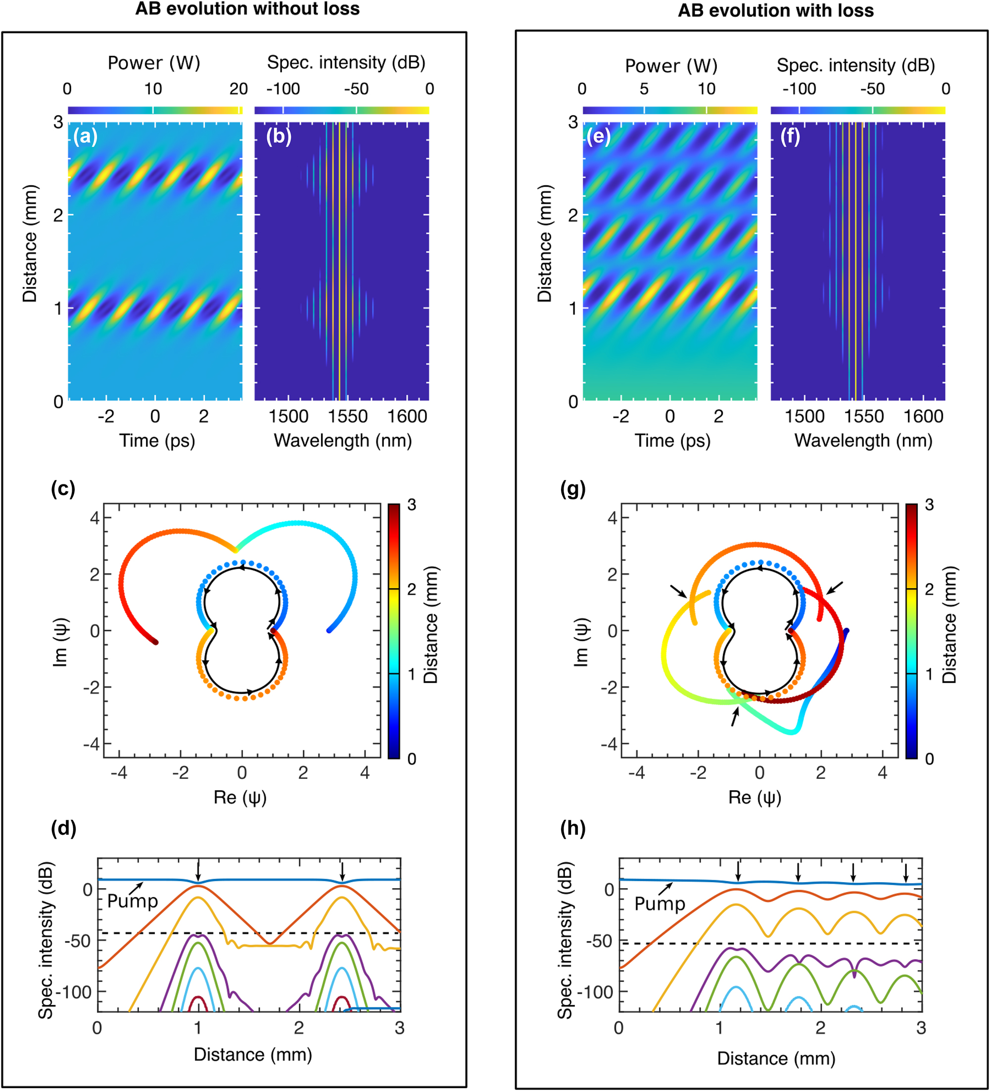 Figure 8: 
Observing FPU recurrence without and with waveguide loss: [Left box] (a) shows the temporal and (b) the spectral evolution of an AB at λ
0 = 1,543.57 nm with no loss (α = 0). (c) depicts the temporal evolution of the AB’s amplitude on a complex plane, while (d) illustrates the energy exchange among spectral sidebands during evolution. [Right box] (e) and (f) show the temporal and spectral evolution, respectively, when the grating experiences a loss of 1.3 dB/mm. (g) demonstrates the effect of loss on the AB’s temporal evolution, and (h) shows how energy exchange among the spectral modes is altered in the presence of loss.
