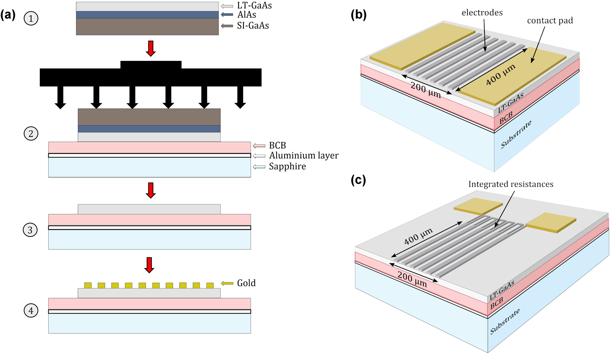 Figure 4:
Fabrication process of cavity-based PCA. (a) Fabrication steps and layer bonding used for the realisation of the cavity based PCA detector: LT-GaAs is grown on an AlAs/SI-GaAs substrate and annealed at 510 °C for 15 min (step 1), then placed with tweezers on a sapphire substrate coated with an aluminium layer (metal mirror used for cavity) and a 300 nm-thick BCB polymer. The stack is compressed in a mechanical press and hard cured at 250 °C for 2 h (step 2). The AlAs layer and SI-GaAs substrate are removed by a combination of mechanical polishing and chemical etching (step 3), leaving the structure exposed for electrode deposition using photolithography (step 4). Two different large area electrode structures have been studied: (b) electrode structure with metal strips and (c) electrode structured with connected metal strips with loops for integrated resistances. The electrode area is approximately 200 μm m by 400 µm. Each electrode is of 4 µm width and separated by 4 µm gaps.