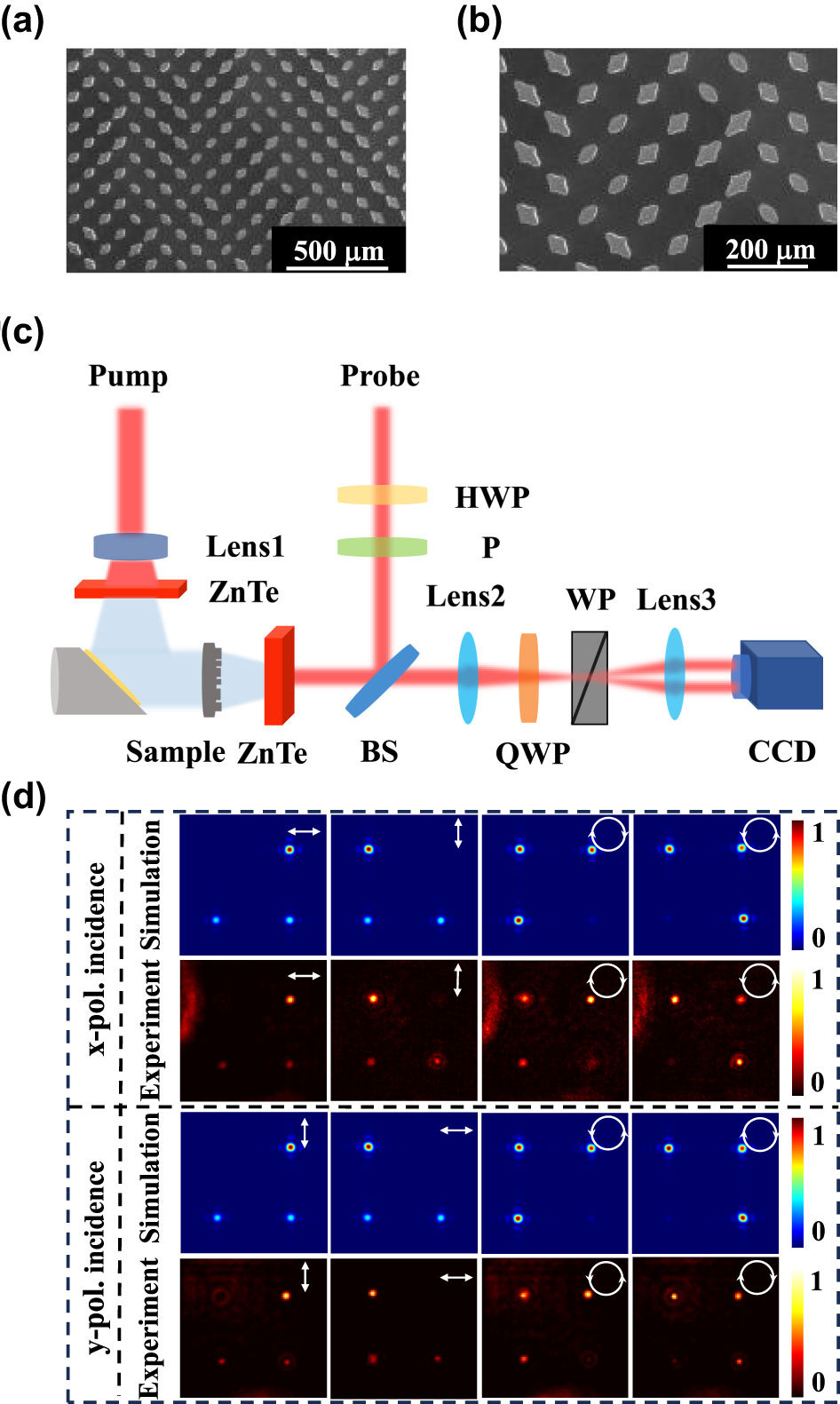 Figure 4:
Experimental and simulated results for the generation of focused versatile polarization states. (a–b) SEM image of the fabricated versatile polarization states generator. (c) Schematic diagram of the THz holographic imaging system. (d) Transmitted field intensity profiles at the focal plane for different polarization bases.