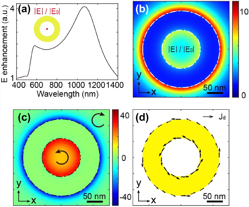 Figure 2:
Description of the physical behavior of the nanoring. (a) Spectral response in terms of electric field enhancement at the XYZ center of a nanoring with an inner diameter of 120 nm, outer diameter of 240 nm, and thickness of 30 nm. Spatial distribution in an XY plane at the Z center of the nanoantenna for (b) electric field enhancement normalized by the incident wave, (c) spin density, and (d) drift currents. It is important to note that for all quantitative measurements in this study, the electric field amplitude used in our simulations was set to 1 V/m.