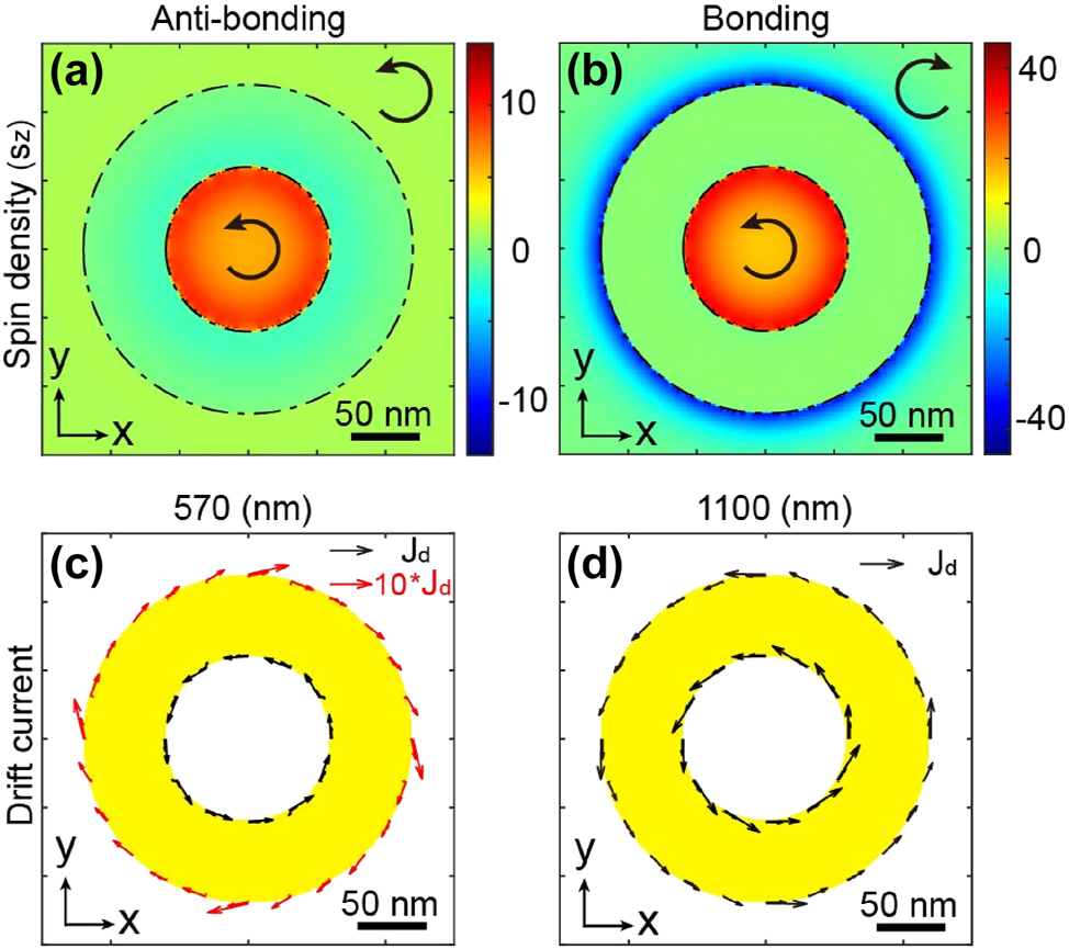 Figure 4:
Comparison of dark and bright modes in the nanoring. Spatial distributions of spin densities in an XY plane at the Z center of the plasmonic nanostructure for (a) the anti-bonding mode (λ = 570 nm) and (b) the bonding mode (λ = 1,100 nm). Arrows represent the helicity of light. Spatial distributions of drift currents in an XY plane at the Z center of the nanoring for (c) the anti-bonding mode and (d) the bonding mode. The length of the arrows represents the relative amplitude of the generated photocurrents.
