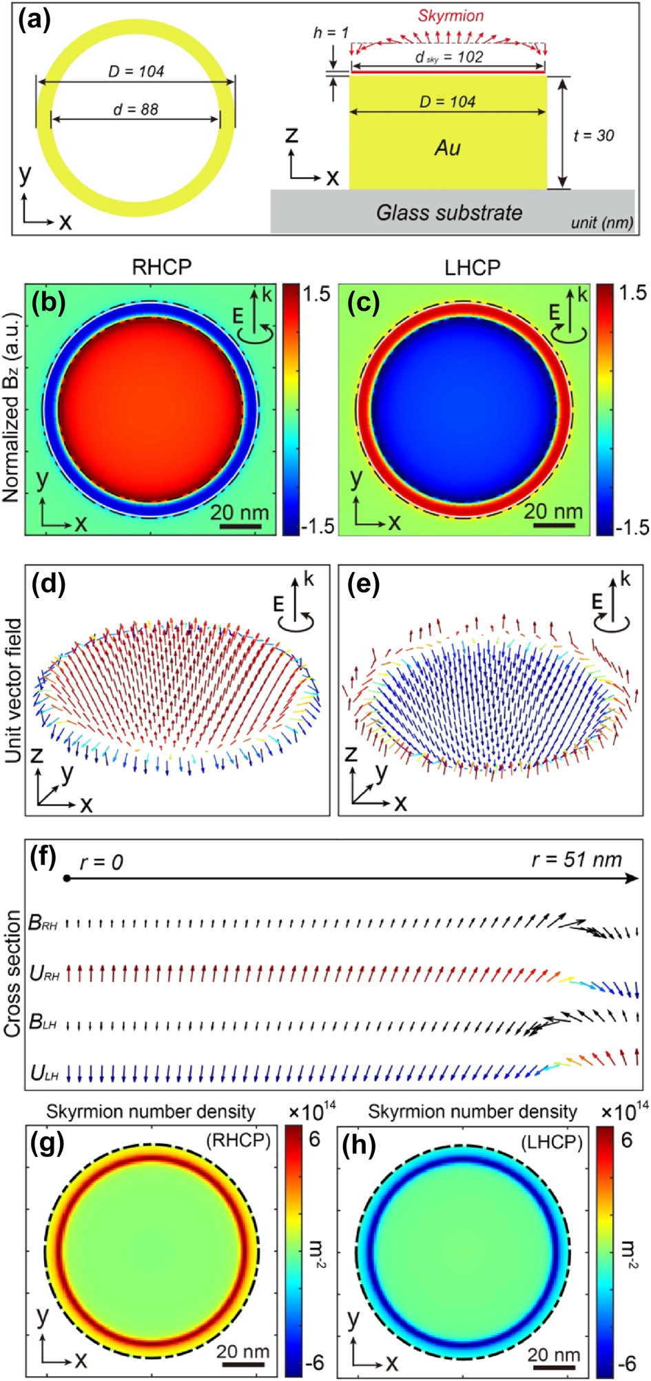 Figure 6:
Example of a nanostructure generating a perfect Néel-type skyrmion for excitation at λ = 600 nm. (a) Schematic representation of a nanoring enabling the generation of a Néel-type skyrmion by IFE. Its dimensions include an inner diameter of 88 nm, an outer diameter of 104 nm, and a 30 nm gold thickness. Spatial distribution of the normalized magnetic field along Z generated by IFE in an XY plane 1 nm above the nanoring for (b) right and (c) left circularly polarized optical excitation, normalized by the B field amplitude at the center. (d) and (e) 3D vectorial distribution of unit vector B represented in (b) and (c), respectively. The black circular arrow at the right top of the figures indicates the polarization direction of the incident wave. (f) Line cut of vectorial distributions of magnetic fields in amplitudes (B) and normalized (U) from the center to the edge of the nanostructure for right-handed (RH) and left-handed (LH) circular polarizations. (g) and (h) Show the skyrmion number density distribution for right and lefthanded circular polarizations, respectively, in the same plane as (b) and (c).