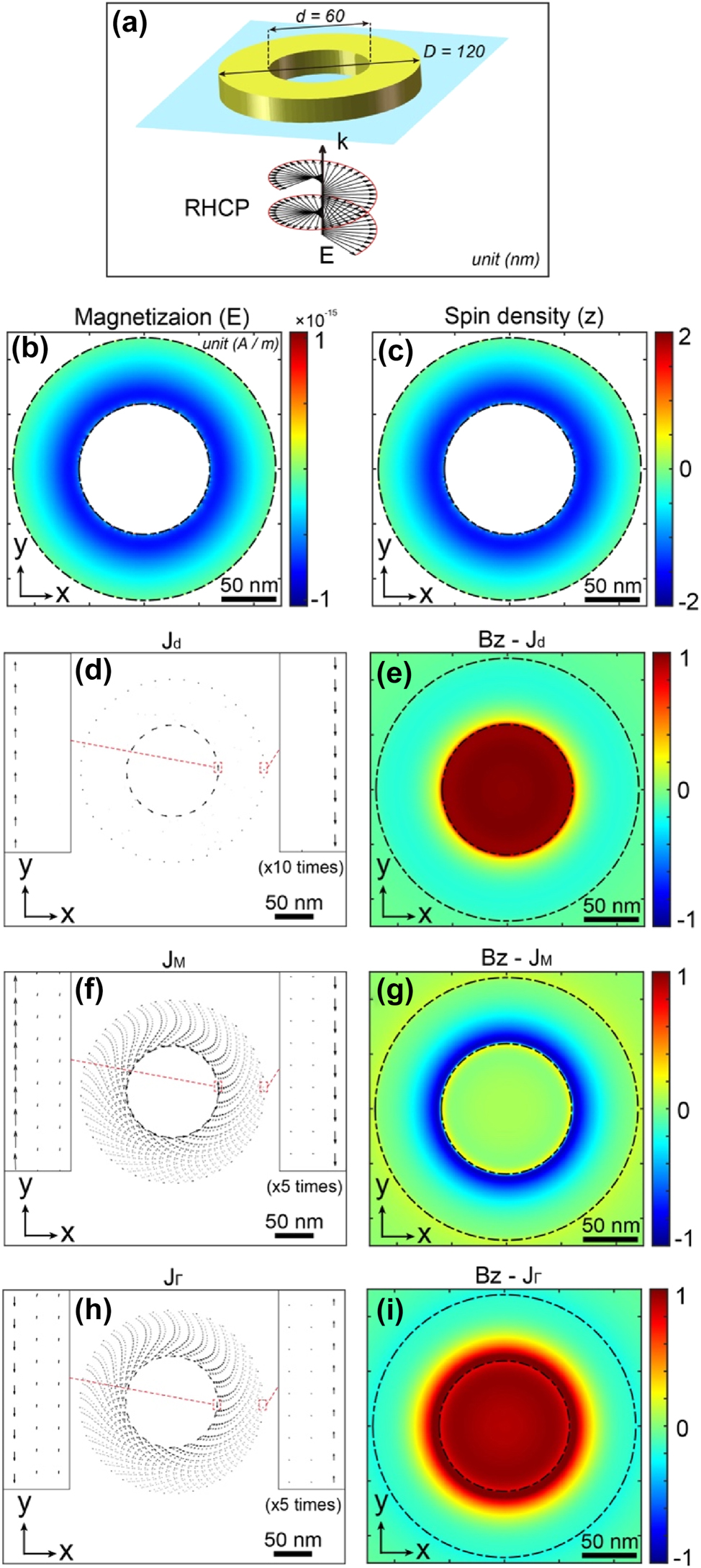 Figure 7:
A gold nanoring with an inner diameter of 60 nm, outer diameter of 120 nm and a thickness of 30 nm, placed on a glass substrate and excited by a right-handed circularly polarized plane wave at a wavelength of 570 nm, under normal incidence. (a) Schematic representation of the system. Distributions in the central plane (Z) of the nanoring for: (b) magnetization
M
, (c) spin density, (d) drift currents
J
d
, (f) magnetization currents
J
M
, and (h) ponderomotive currents
J
Γ
. (e), (g), and (i) show the corresponding magnetic field distributions at the nanoring’s surface for the currents displayed in (d), (f), and (h), respectively.