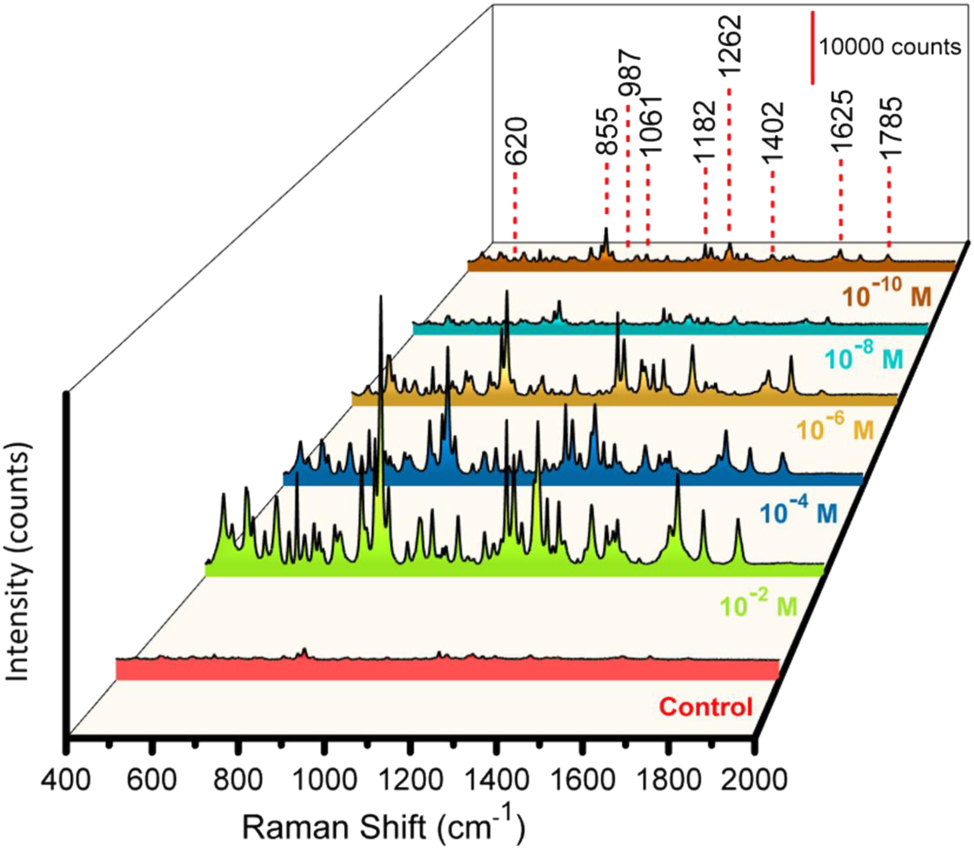 Figure 2: 
SERS measurements with substrate Al_Con_Ag180s for detecting Amx at various concentrations (Control, and from 10−2 to 10−10 M), with multiple colors representing the different concentrations.
