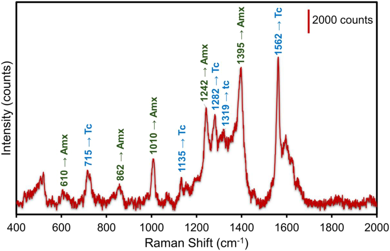 Figure 4: 
Multiplex SERS measurements of the mixture Amx + Tc for 10−4 M concentration using the Al_Con_Ag180s template. The values in green color indicate the band assignments identifying Amx peaks. The values in blue indicate the band assignments identifying Tc peaks.
