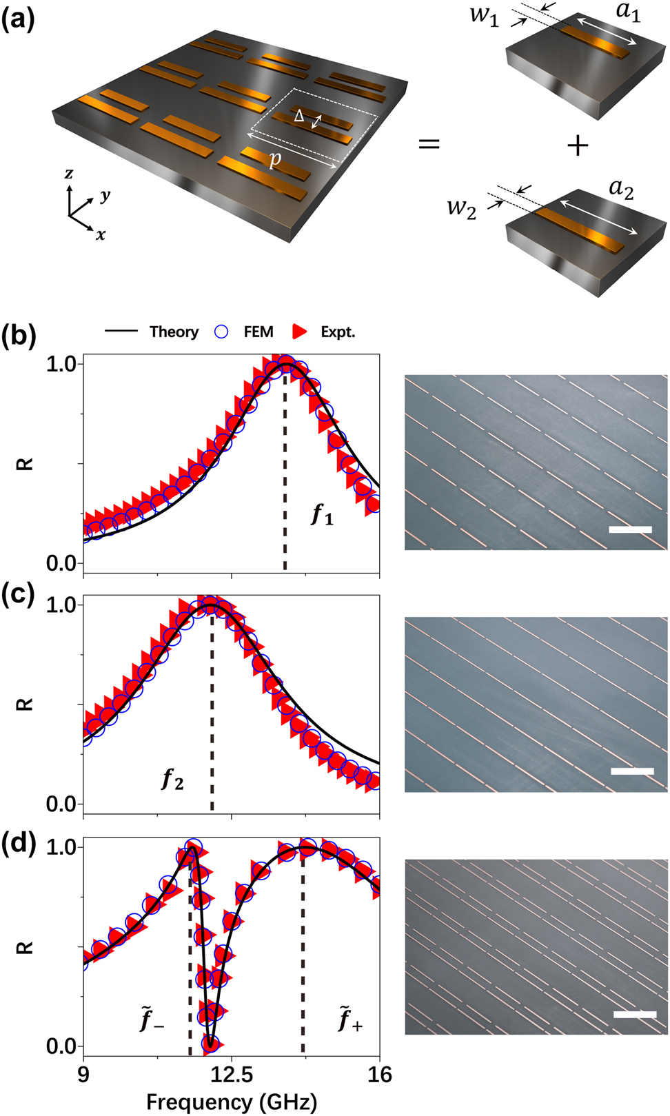 Figure 2:
Benchmark test of our LEM theory on a realistic microwave metasurfaces. (a) Schematics of a periodic metasurface with meta-atoms composed by two coupled bar-resonators and placed at the center of its unit-cell. Geometrical parameters: p = 10 mm, Δ = 2.6 mm, a
1 = 8.5 mm, w
1 = 0.3 mm, a
2 = 9.5 mm, w
2 = 0.3 mm. And the inter-bar distance is 2.6 mm. All metallic resonators of the fabricated metasurfaces in this paper are made of copper with thickness of 35 um and placed on a dielectric substrate (with ɛ
r
= 2.2) with thickness of 1 mm. (b–d) Reflectance spectra of fabricated periodic metasurfaces containing different single bar-resonator (b–c) and two bar-resonators coupled together (d), obtained by experiments (triangles), FEM simulation (circles) and LEM theory (solid line). The right panel of (b–d) are the image of part of the fabricated metasurfaces with scale bar (whith line) of 10 mm.