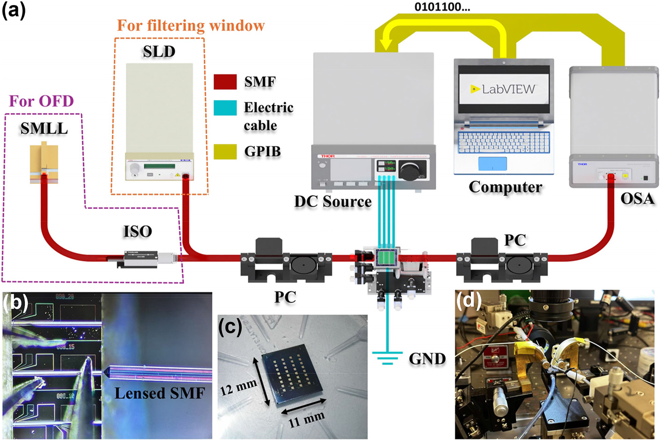 Figure 4: 
Setup of device characterization. (a) Schematic diagram of characterization setup, (b) light source coupled from the SMLL using a lensed SMF, (c) photograph of the whole chip, and (d) photograph of measurement stage.

