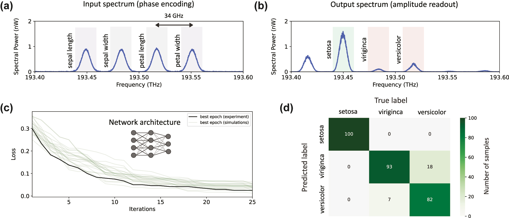 Figure 4: 
Experimental results of the multiclass classification for the artificial extension of the Iris dataset with a (4, 4, 3) network architecture. (a) Features of a sample are phase encoded into four frequency modes generated from the mode locked laser. (b) To infer the classification result, the output amplitudes are read out. Each output bin labels a different class. In the example provided here, a sample belonging to setosa was encoded and processed by the programmable photonic frequency circuit. The output spectrum reveals most intensity at the bin labeled setosa, indicating a correct classification for this sample. (c) Training progress of the in-situ training (black) for 10 epochs each with 25 iterations. As a reference and baseline, 20 runs on a numerical simulation (green) are shown. (d) Confusion matrix of the best epoch evaluated over the test set with 100 samples in each class (300 samples total). The total classification accuracy is 91.7 %.
