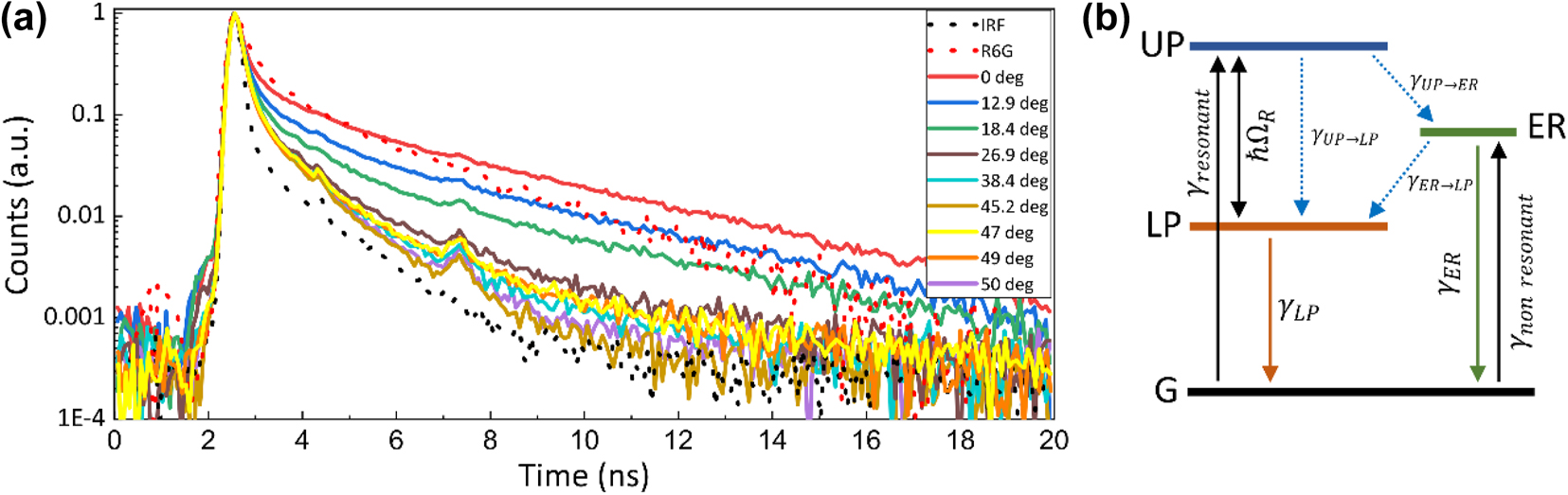 Figure 4:
Decay dynamics of strongly coupled SPP-R6G sample: (a) measured fluorescence decay curves of bare R6G-PMMA (red dotted curve) and in strong coupling regime with SPP for different angles of incidence (solid curves). IRF is shown for reference (grey dotted curve); (b) energy level diagram of polariton emission decay pathways from upper polariton state (UP) and exciton reservoir (ER) upon resonant and non-resonant excitation. Internal non-radiative relaxations processes between UP, LP and exciton reservoir are depicted as γ
UP→ER and γ
ER→LP.