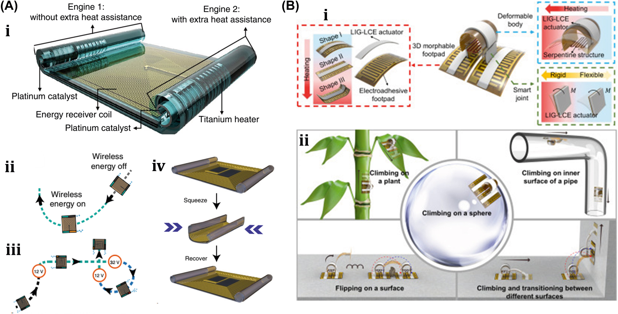 Figure 6: 
Thermally actuated soft bots. (A) (i) Design schematic and components of the MTJEMS. (ii) Trajectory of MTJEMS with 12 V supply. (iii) Trajectory of MTJEMS with different supply voltages. (iv) Shape recovery of MTJEMS. (v) Switching of micro-arm from “closed” to “open” with the remote-controlled inductive heating. Reproduced with copyright permission from [84]. (B) (i) Conceptual design and working mechanism of soft climbing microrobot. (ii) Soft microrobot capability of climbing on various surfaces, flipping on the surface, and transitioning between them. Reproduced with copyright permission from [6].
