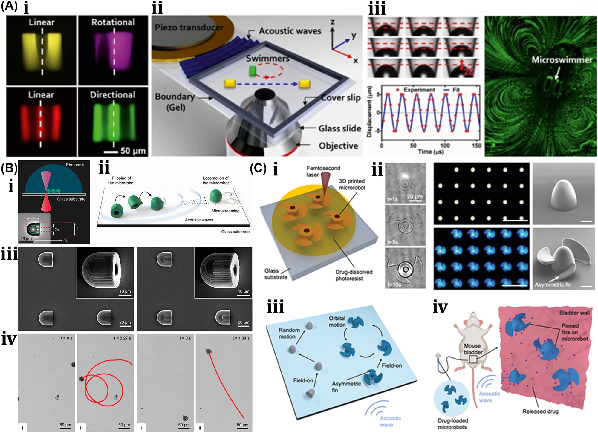 Figure 8: 
Acoustic field–driven soft µn-bots. (A) (i) Fluorescent images microswimmer. (ii) Microswimmer experimental demonstration with a piezoelectric transducer. (iii) Acoustic oscillation of microswimmer bubbles results in significant acoustic microstreaming in water. Reproduced with copyright permission from [85]. (B) (i) Nanoprinted microrobot on a glass slide. (ii) Nanoprinted microrobot propulsion mechanism under acoustic waves. (iii) SEM image of fully anisotropic and symmetric microrobot. (iii) Trochoidal random propulsion and directional forward motion of microrobots under ultrasound. Reproduced with copyright permission from [86]. (C) (i) Drug encapsulated 3D printed microrobot within its polymer matrix during cross-linking. (ii) Fluorescent microscope & SEM images of 3D-printed microrobot. (iii) Influence of asymmetric fins on the microrobots propulsion trajectories in response to acoustic waves. (iv) Demonstration of drug-loaded microrobots propulsion in mouse bladder excited by ultrasound. Reproduced with copyright permission from [87].

