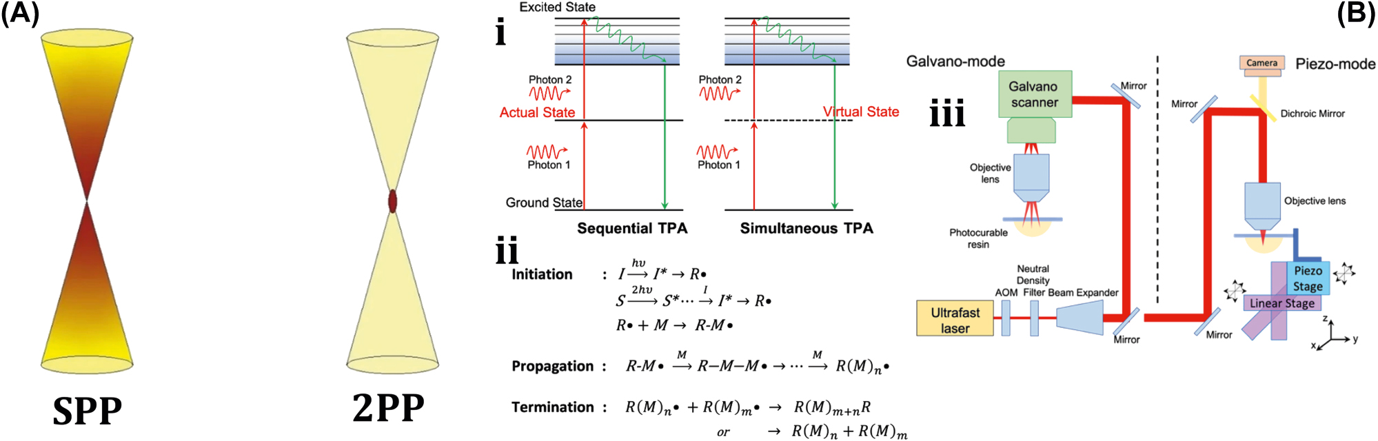 Figure 9: 
Polymerization mechanism. (A) Conceptual diagram of single-photon polymerization (SPP) and two-photon polymerization (2 PP). Reproduced with copyright permission from [158]. (B) (i) Two photon absorption mechanisms. (ii) Process steps for 2 PP. (c) Schematic of 2 PP device setups. Reproduced with copyright permission from [159].
