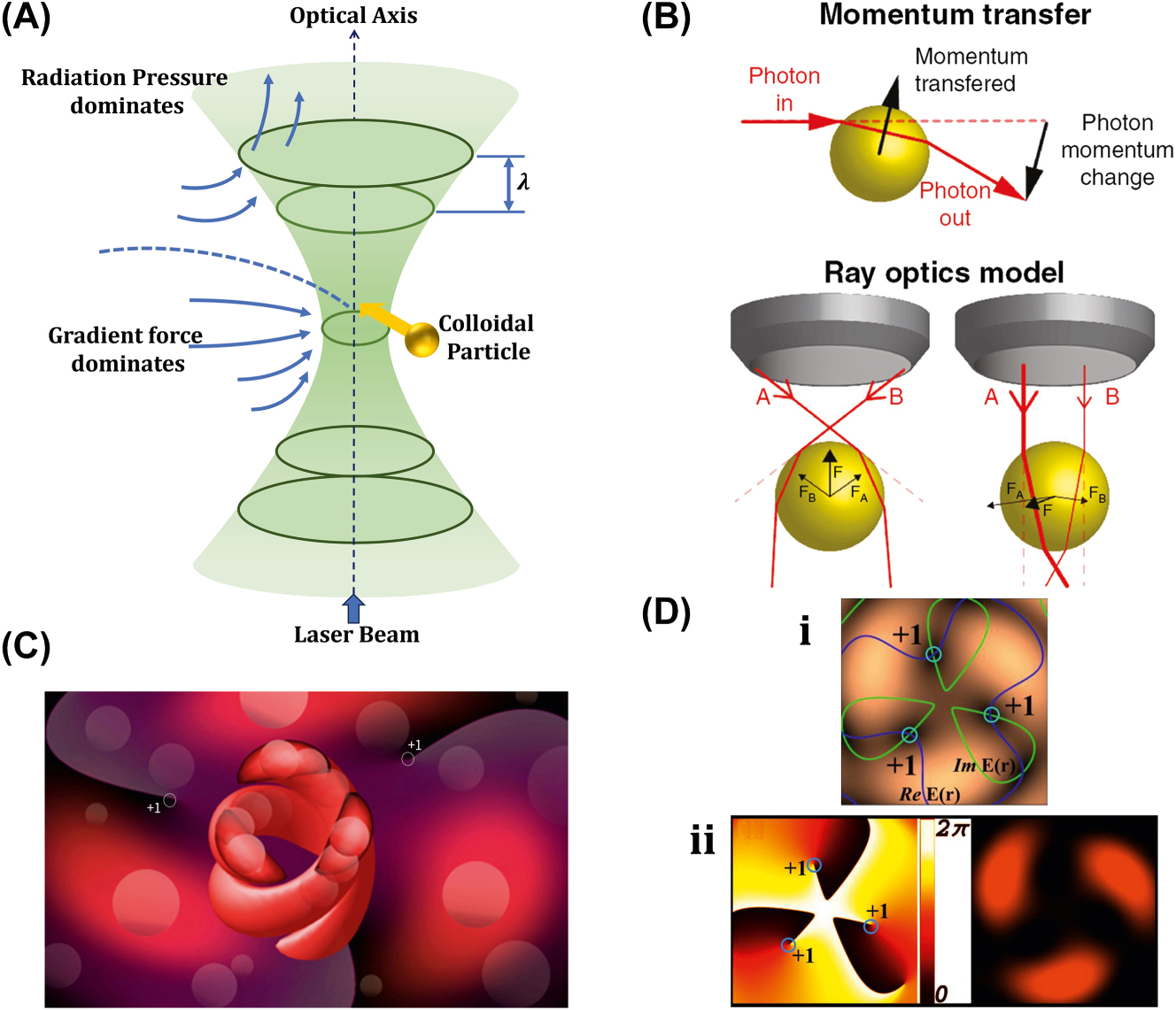 Figure 10: 
Fundamentals of optical tweezer mechanism. (A) Particles trapping through OT assisted strongly focused Gaussian beam [108]. (B) Illustration of momentum transfer between photon to particles and ray optics model for the gradient of forces due to light. Reproduced with copyright permission from [109]. (C) 3D OT demonstration induced by multiple plane waves. (D) Simulated profile for rotation phase and intensity of 3D OT. Reproduced with copyright permission from [110].

