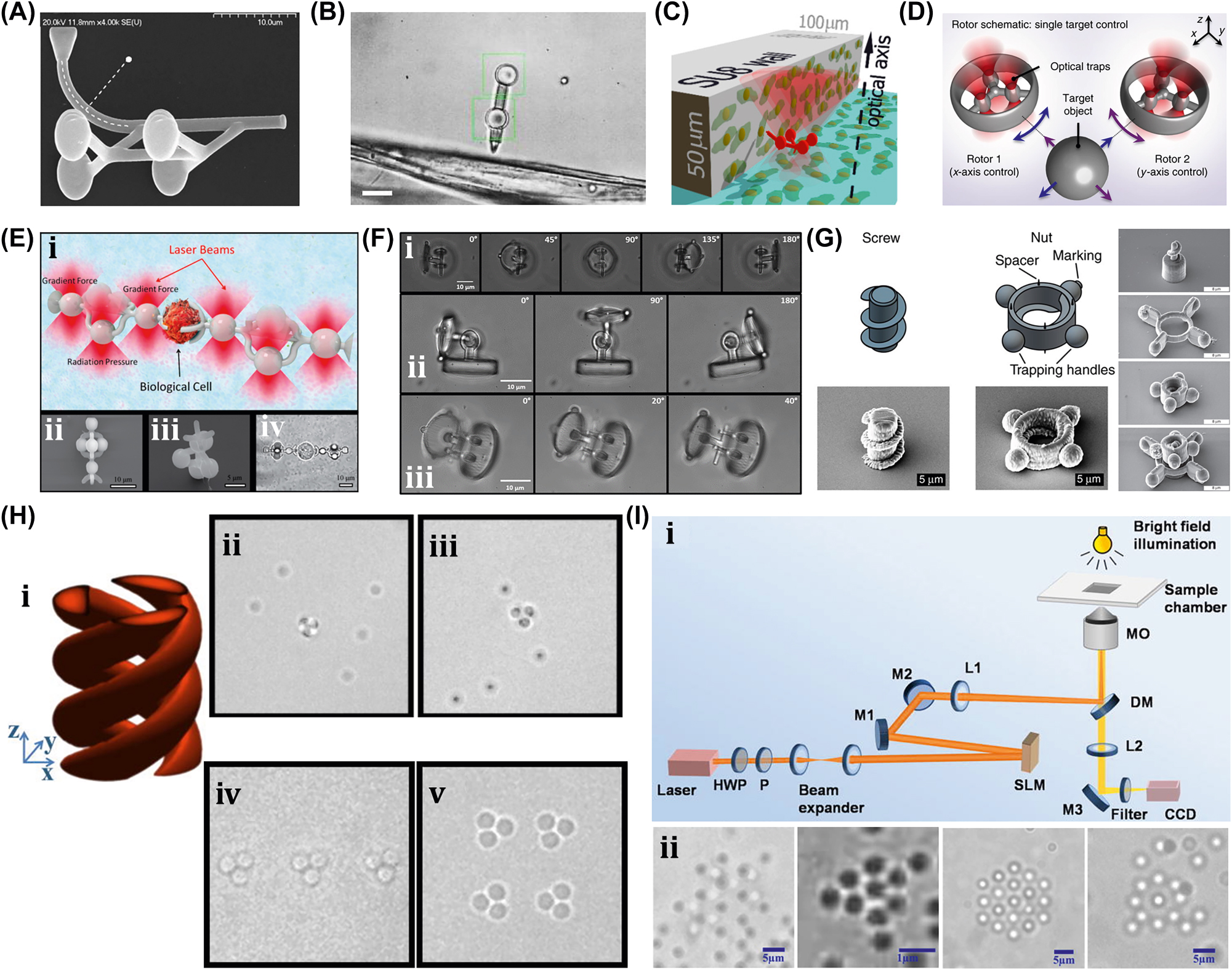Figure 11: 
OT-driven rigid µn-Bots. (A) SEM image of 2 PP structured cylindrical probes. Reproduced with copyright permission from [111]. (B) Probe for the vibration measurement of floating cotton fibers in water. Reproduced with copyright permission from [112]. (C) Probe for the elasticity modulus measurement of cell membrane. Reproduced with copyright permission from [113]. (D) Microrotor to capture single target object. Reproduced with copyright permission from [92]. (E) Fabricated microclamp and their capturing process of cells. Reproduced with copyright permission from [114]. (F) Articulated microrobot motion and manipulation at several angles. Reproduced with copyright permission from [115]. (G) Structure, capture, movement and assembly of micro screw & nuts. Reproduced with copyright permission from [116]. (H) (i) Schematic of helical stacked microrotors profile. (ii) Tapping. (iii) Rotational locomotions. (iv-v) Multiple microrotor locomotions. Reproduced with copyright permission from [110]. (I) (i) Experimental setup of 3D OT. (ii) Optical trapping of in various lattice patterns. Reproduced with copyright permission from [117].
