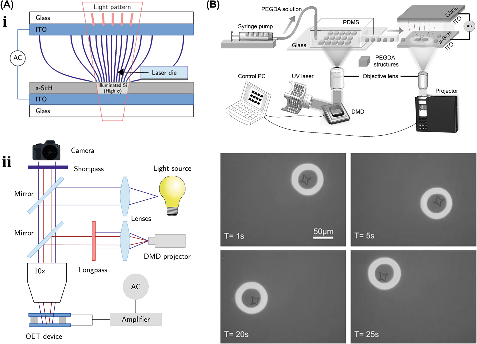 Figure 12: 
OET-assisted rigid µn-Bots. (A) (i) Generic diagram of OETs indicating asymmetrical distribution of electric field. (ii) Device required for OET setups. Reproduced with copyright permission from [119]. (B) OET device setup for the manipulation of star shaped hydrogel microstructure manipulation. Reproduced with copyright permission from [120].
