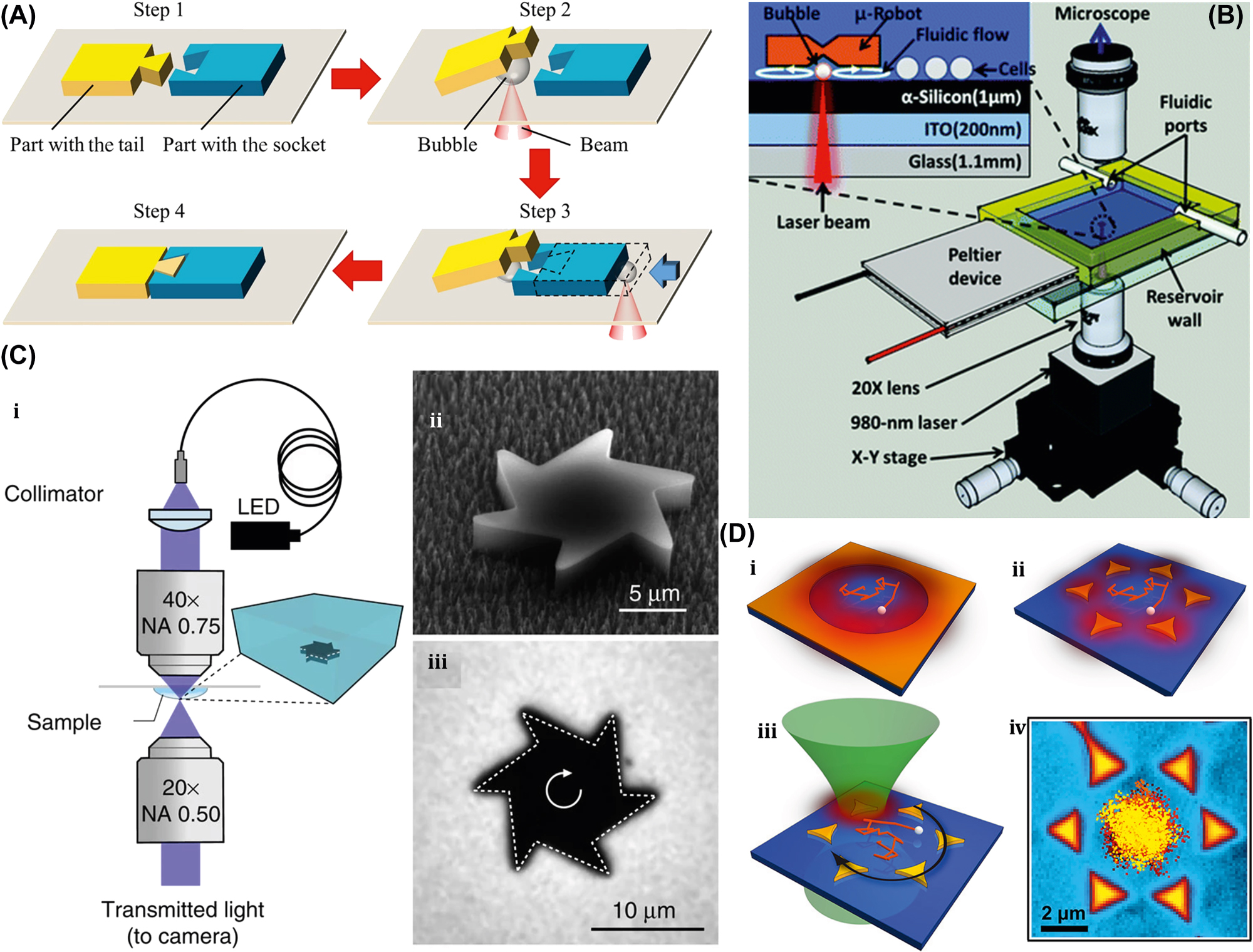 Figure 14: 
Photothermal-induced manipulation of rigid µn-Bots. (A) Process steps of light-induced bubble-driven assembly of two microparts. Reproduced with copyright permission from [122]. (B) Experimental setup of bubble-driven hydrogel, PEGDA disc microrobot. Reproduced with copyright permission from [123]. (C) (i) Experimental setup for microgear. (ii) SEM image of fabricated microgear. (iii) Microgear rotational motion under LED illumination. Reproduced with copyright permission from [126]. (D) (i) Closed gold microstructure. (ii) Open hexagonal microstructure. (iii–iv) Single particle capture in hexagonal array microstructure under the influence of laser. Reproduced with copyright permission from [127].
