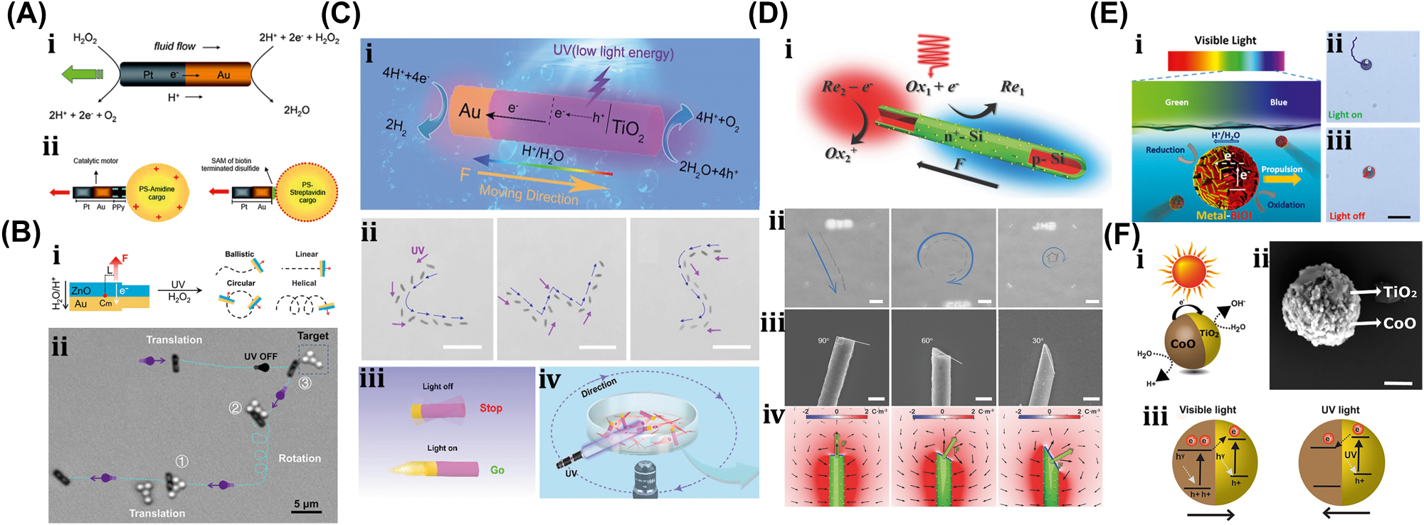Figure 16: 
Self-electrophoresis–driven µn-Bots. (A) (i) Schematic and reaction mechanism of Pt/Au rod–based microrobot. (ii) Cargo loaded Pt/Au rod–based microrobot. Reproduced with copyright permission from [93]. (B) (i) Au/ZnO microrobot schematic and their modes of motions. (ii) Demonstration of motions mode for the cargo transportation. Reproduced with copyright permission from [129]. (C) (i) Au/TiO2–based microwires actuation mechanism. (iii) Microwires motion trajectory follows the different letter shape includes. (iii) UV light assisted actuation of microwires. (iv) Neurons manipulation through microwires. Reproduced with copyright permission from [130]. (D) (i) n
+-Si and p-Si surfaces based nanowires. (ii) Trajectory of nanowires. (iii–iv) Fabrication of nanowires with different end faces and their resultant electric field profiles. Reproduced with copyright permission from [131]. (E) (i) Conceptual mechanism of metal-BiOI microrobot. (ii–iii) Motion trajectory of metal-BiOI microrobot under visible lights. Reproduced with copyright permission from [132]. (F) (i) Reaction mechanism of CoO/TiO2 microrobot under visible light. (ii) SEM image of CoO/TiO2 microrobot. (iii) Direction of propulsion force of CoO/TiO2 microrobot under visible and UV light due to change in energy gap. Reproduced with copyright permission from [94].
