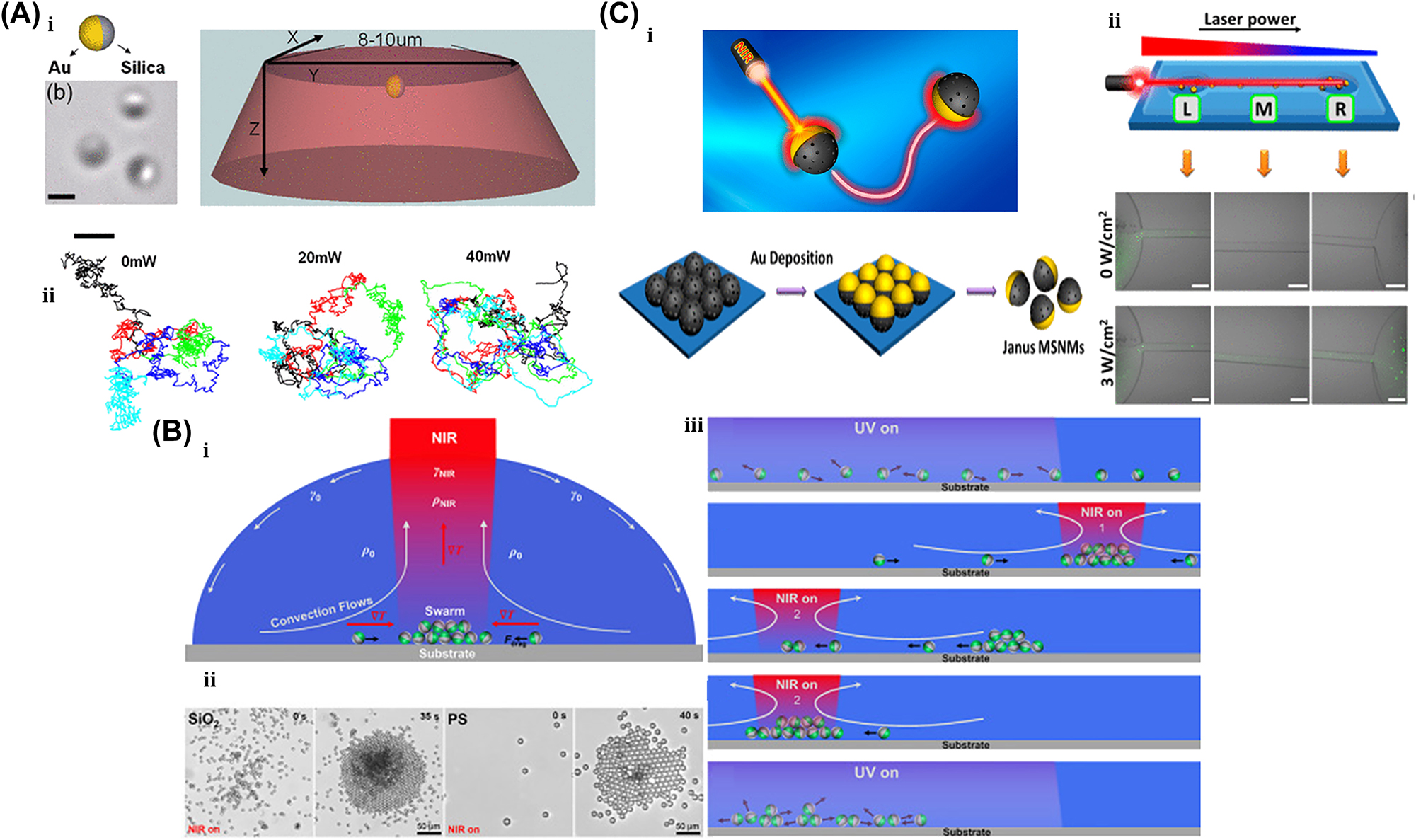 Figure 18: 
Self-thermophoresis–induced µn-Bots. (A) (i–ii) Schematic of Au/silica microrobot. (iii) Motion trajectory of Au/silica microrobot at different powers. Reproduced with copyright permission from [138]. (B) (i) NIR light–driven assembly of TiO2/Pt microrobots. (ii) Convective flow of TiO2/Pt microrobots at different mediums. (iii) Migration TiO2/Pt microrobots to the NIR point. Reproduced with copyright permission from [139]. (C) (i) Schematic and fabrication TiO2/Au micromotor. (ii) Cargo transportation of TiO2/Au micromotor under different power of NIR laser. Reproduced with copyright permission from [140].
