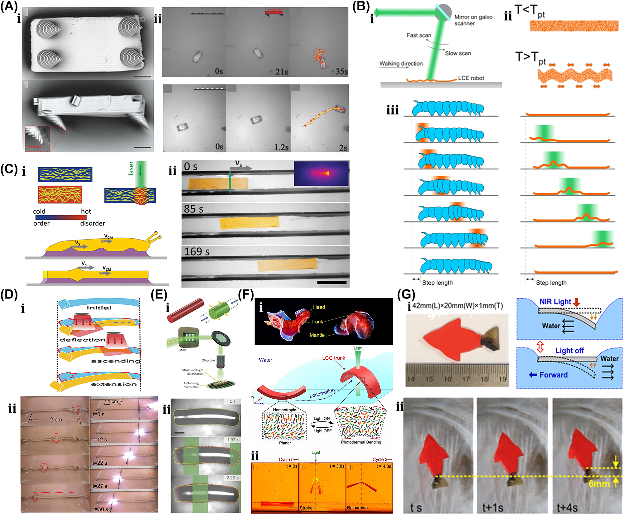 Figure 19: 
Photothermal-induced LCP soft microrobot. (A) (i) Top and side view of microtractor. (ii) Crawling locomotion on PI-coated glass and clean glass. Reproduced with copyright permission from [95]. (B) (i) Experimental setup of LCE-based caterpillar. (ii) Principle mechanisms. (iii) Crawling motion of caterpillar by moving laser shaded by green color. Reproduced with copyright permission from [7]. (C) (i) Principle mechanism of snail crawling. (ii) Crawling demonstration of artificial soft microrobots. Reproduced with copyright permission from [96]. (D) (i) Principle mechanism of soft microrobots. (ii) Transportation of carbon rods. Reproduced with copyright permission from [97]. (E) (i) Principle mechanism of LCE bases cylindrical microrobot. (ii) Radial expansion and axial contraction under light illuminations. Reproduced with copyright permission from [8]. (F) (i) Principle mechanism of biomimicking of H. sanguineus underwater motion. (ii) Demonstration of periodic shape deformation. Reproduced with copyright permission from [98]. (G) (i) Artificial microswimmer and their working principle. (ii) Locomotion of soft microswimmer in response to NIR induced tail movement. Reproduced with copyright permission from [99].
