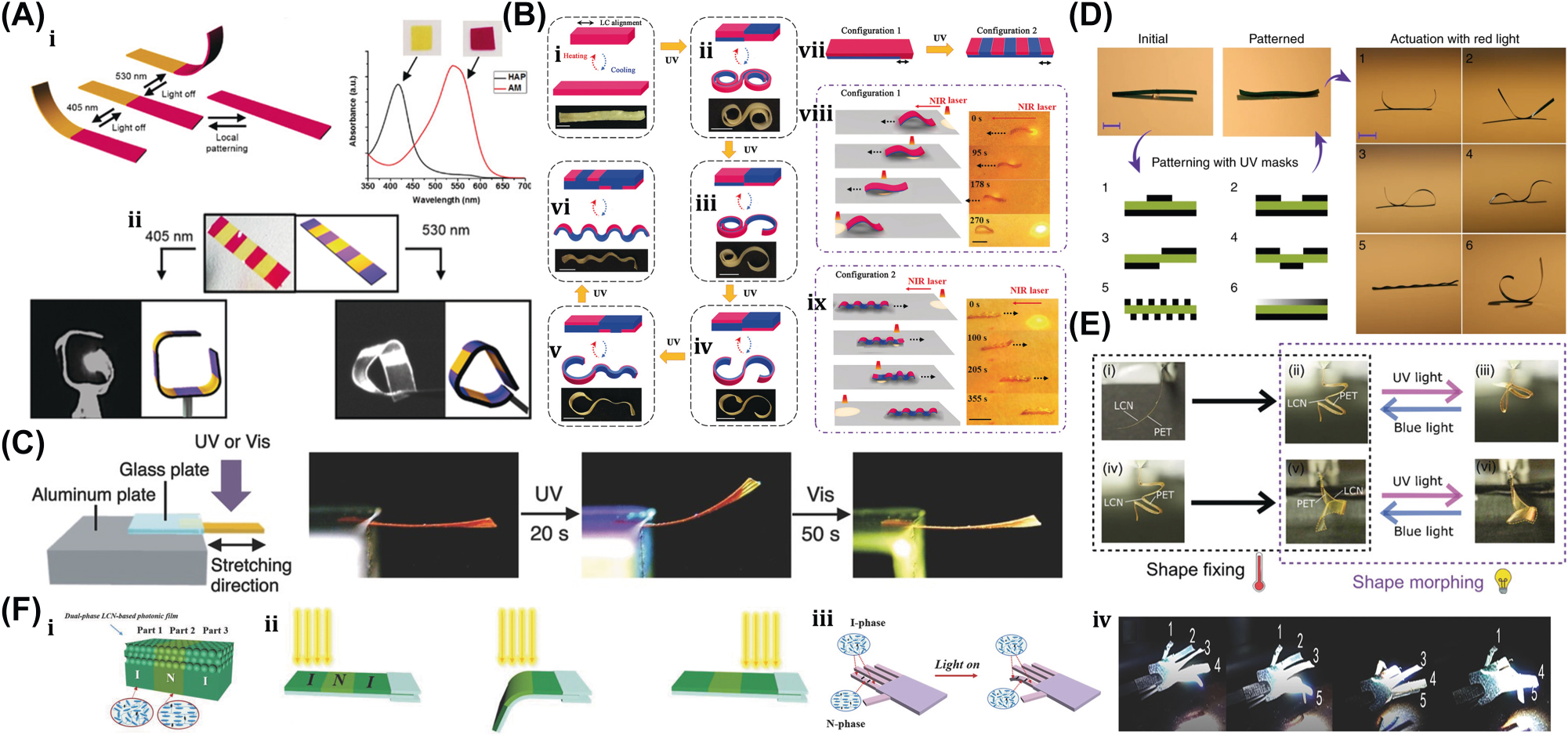 Figure 20: 
Photothermal-induced programmability in LCP. (A) (i) Light responsive programmable and rewritable LCP actuator. (ii) Spectrum of LCP film wavelength absorption pre- and postacid treatment. (iii) LCP actuator in response several wavelength light. Reproduced with copyright permission from [16]. (B) (i–vi) Microrobot delinking with light-controlled deformation includes elongation, roll up-roll down, roll up-bend down, S shape, bend up-wrinkle and all-wrinkle. (vii) Light walker-crawler transformation. (viii) Locomotion of arch shape actuator. (ix) Locomotion of wrinkle shape actuator. Reproduced with copyright permission from [17]. (C) LCE film deformation under UV and visible lights. Reproduced with copyright permission from [9]. (D) Demonstration of six distinct reversible morphologies exhibited by a single soft microrobot under similar exposure of red light. Reproduced with copyright permission from [18]. (E) Distinct optical drive with the two individual LCN bands geometries. Reproduced with copyright permission from [19]. (F) (i) Three-segment LCN-based in the N–I–N phase configuration. (ii) N-phase area exhibited fast bending under the exposure of visible light. (iii) Light-driven bionic hand with the dual-phase LC photonic film actuator. (iv) Demonstrations of complex motion of bionic hand. Reproduced with copyright permission from [20].
