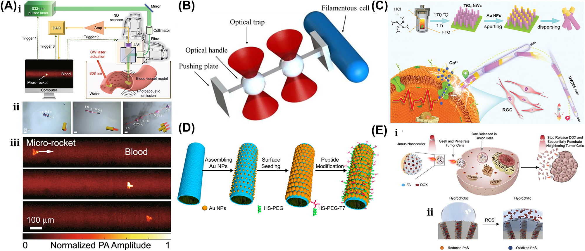 Figure 27: 
Biomedical applications. (A) (i) Setup of optical resolution photoacoustic microscopy system for tracking of light-driven micro-rocket. (ii) Locomotion of rod type, tube type, and rocket type microrobot in response to light. (iii) Micro-rocket propulsion in blood environment. Reproduced with copyright permission from [175]. (B) OT-driven microrobot for the translation and rotational motion of filamentous cell. Reproduced with copyright permission from [176]. (C) TiO2/Au nanowire propulsion for the manipulation of neurons. Reproduced with copyright permission from [130]. (D) Light-driven micromotor for the destruction of cancer cell. Reproduced with copyright permission from [177]. (E) Conceptual model of light-driven Janus micromotor for cancer treatment. Reproduced with copyright permission from [141].

