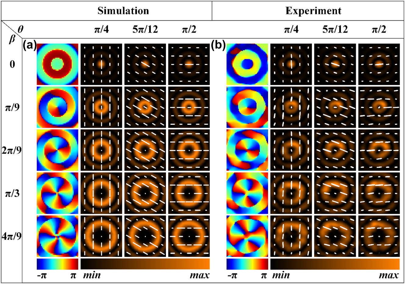Figure 4:
Simulation and experimental results of Bessel beams with tunable topological charge and polarization. (a), (b) Simulation and experimental results of generated Bessel beams’ field distribution in the x–y plane at a propagation distance z of 12 mm when the relative rotation angle between meta1 and meta2 is 0, π/9, 2π/9, π/3, and 4π/9, with an overall rotation of π/4, 5π/12, and π/2, respectively. The solid white line represents the polarization state.