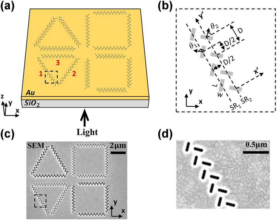 Figure 1:
Fabrication of the proposed metasurface. (a) Schematic diagram of the proposed metasurface consisting of fourteen groups of T-shaped nanoslit resonator (NSR) arrays etched on a gold film. The NSR array in the lower-left equilateral triangular is numbered as 1–3. (b) Details of T-shaped nanoslit array. (c) Scanning electron microscope (SEM) images of the fabricated metasurface coupling structure and the detail (d) of the nanoslit array.