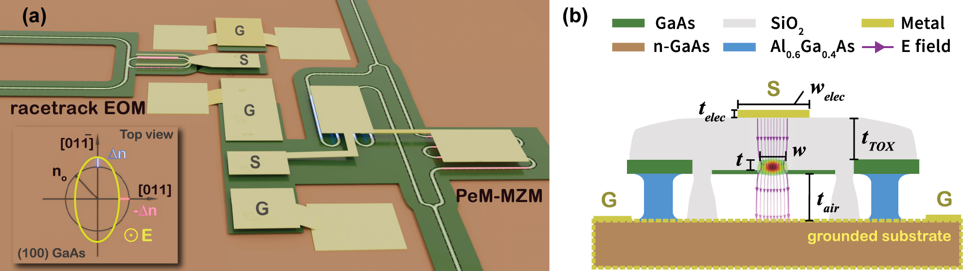 Figure 1: 
Exploiting orientation induced Pockels' asymmetry for engineering push-pull EOMs. (a) Schematic view of the suspended GaAs PIC platform showing the perpendicularly meandering Mach–Zehnder modulator (PeM-MZM, bottom) and racetrack resonator based EOM (top) on a (100) oriented GaAs wafer, showing the relative position between the electrodes and the underlying waveguides. The inset shows the planar projection of the GaAs index ellipsoid. Without an applied electric field along the [100] axis, GaAs is optically isotropic in-plane (black circle). When an external electric field is applied along the [100] axis, the ellipsoid deforms (yellow ellipse) with major and minor axes along the [011] or 



[

01



1

̄



]



$[01\bar{1}]$



 directions. Key for the PeM-MZM push-pull operation is that the refractive index change is equal and opposite in the two directions. (b) 2D cross section of suspended GaAs rib waveguide showing the interaction between the propagating optical field (transverse electric mode field calculated using FEM is overlaid to scale) and the out of plane DC/RF field (purple streamlines). Device parameters used in the simulations: waveguide width w = 540 nm, rib etch depth t = 240 nm, top oxide thickness t
TOX = 2.2 μm, Al0.6Ga0.4As/air gap thickness t
air = 2 μm, electrode thickness t
elec = 460 nm and top electrode width w
elec = 5 μm. The different components in the device are shown in the legend. The linear EO effect induces a refractive index change of Δn
eff = 1.279 × 10−6 V−1 in the GaAs waveguide due to the applied electric field.
