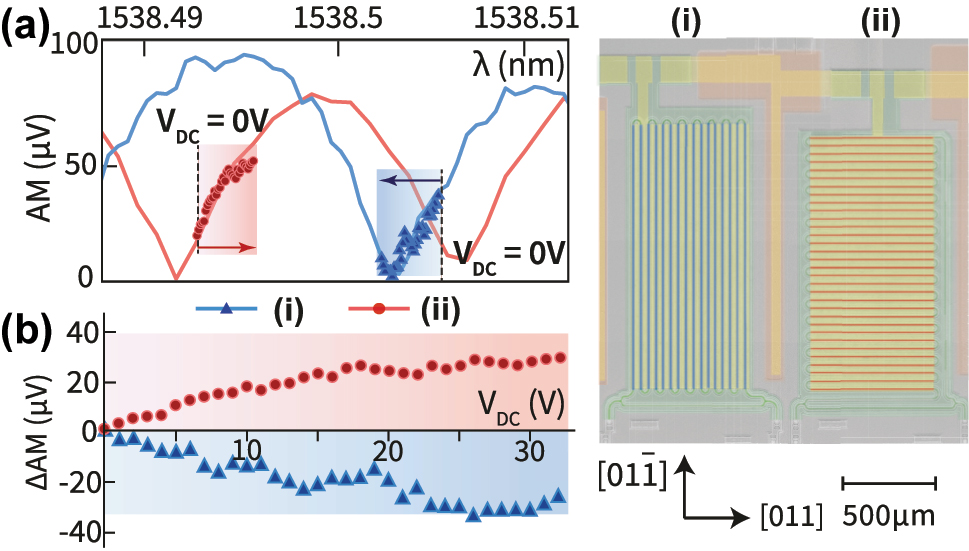 Figure 4: 
Control experiments to demonstrate the push-pull nature of the effect: DC bias induced phase shift on two SeM-MZM devices, with a single arm meandering along [011] (i) or 



[

01



1

̄



]



$[01\bar{1}]$



 (ii) direction. The meandering arm lengths are designed to be nominally equal in the two cases. (a) AM spectra for SeM-MZMs driven by a 1 MHz modulation signal of amplitude 1 V, (blue for (i), red solid for (ii)). Overlaid scattered plot (red circles and blue triangles) shows the shift in the AM spectrum when the DC bias voltage is swept from 0 V (black dashed line) to 32 V. The laser wavelength is indicated by the dashed line (b) replotting the data from (a) to show the differential AM change as a function of applied DC bias voltage. The differential shift (ΔAM = AM(V
DC) − AM(0)) is plotted with reference to the zero DC bias point. The opposite slopes of the differential AM voltage with respect to the bias voltage V

DC
 clearly shows the push-pull effect in action.
