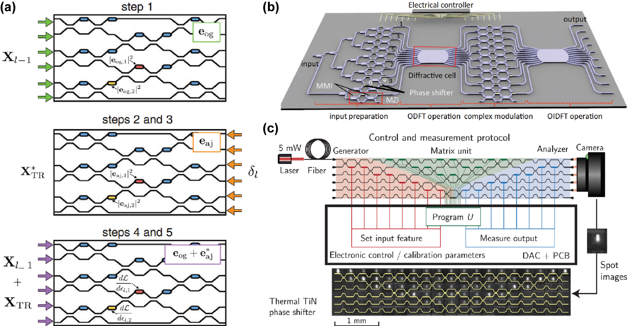 Figure 3: 
Mach–Zehnder Interferometer: (a) Training methodology diagram for ONNs enabling real-time in-situ learning [45]. (b) Integrated photonic neural network architecture combining MZIs with diffractive optical components [46]. (c) Demonstrated in situ backpropagation training of a photonic neural network using MZI meshes. [47]. (a) is reprinted from Ref. [45], under the terms of the Open Access Publishing Agreement; (b) is reprinted from Ref. [46], with permission. Copyright 2024 Nature; (c) is reprinted from Ref. [47], with permission. Copyright 2024 American Association for the Advancement of Science.
