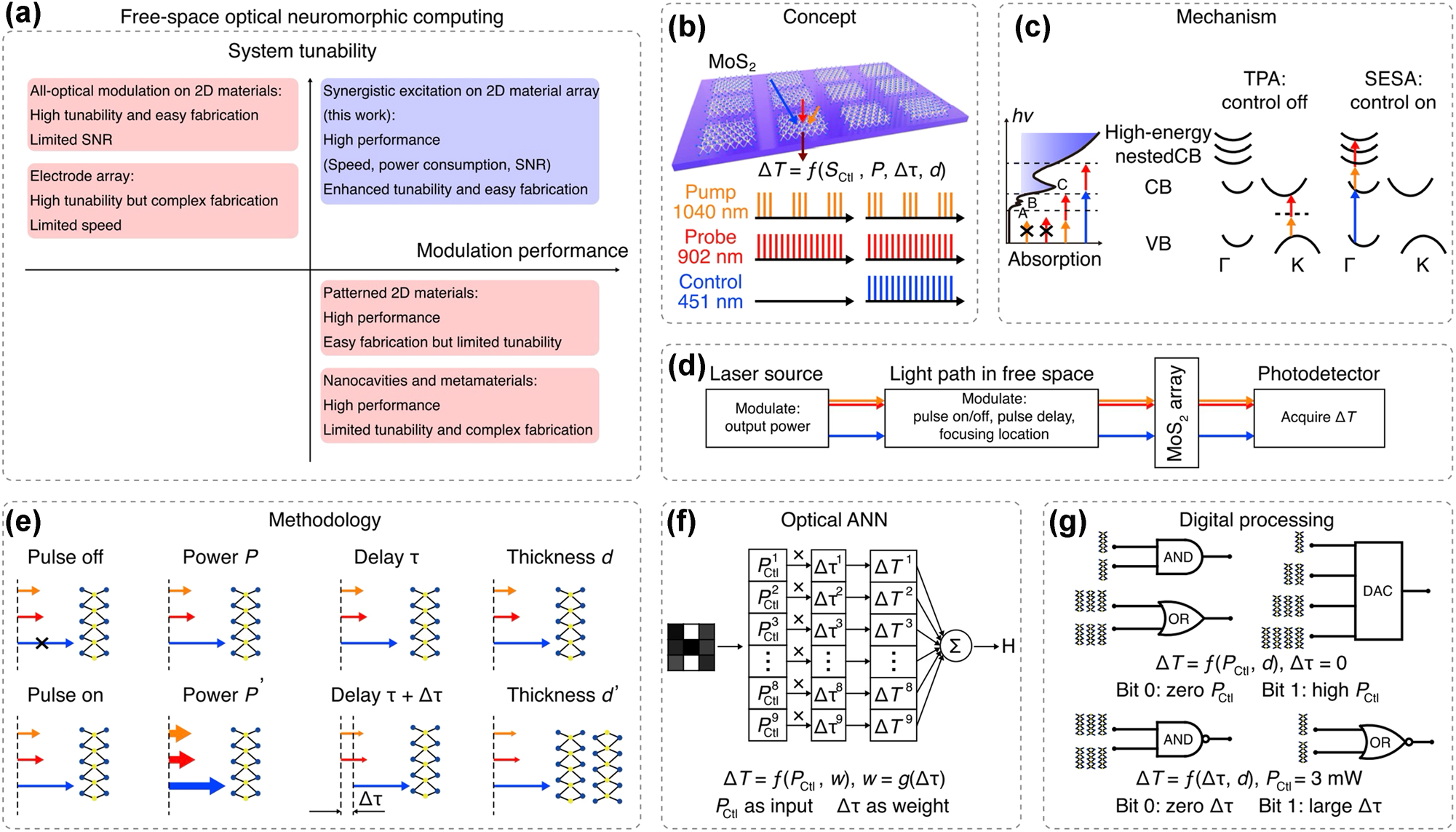 Figure 9: 
Free-space optical neuromorphic computing concept based on a pure 2D MoS2 array. (a) Contradiction between performance and tunability of the system for different strategies. The proposed system shows an improved modulation performance and simultaneously ensures the tunability of the system. (b) Schematic of the computing concept based on a pure MoS2 flake array. Within the pumpprobe-control setup (bottom), the relative transmittance (ΔT) is effectively enhanced and modulated, assisting the design of computing functions. (c) Schematic of the computing mechanism. The synergistic transition mainly involves five specific bands: the VB maximum and CB minimum near the K points, the parallel VB and CB between the K and Γ points, and the high-energy nested CBs near the Γ point. The Δ T with the control pulse off is dominated by TPA at the K points. The ΔT with the control pulse on is dominated by SESA between the K and Γ points. (d) Simplified schematic of the computing system. (e) Schematic of the computing methodology. Computing functionalities can be realized by modulating the pulse on/off state, pulse power, pulse delay, and encoding the flake thickness. (f) Schematic of optical ANN. The ΔT is a function of control power and control time delay. The control power in each cell is the input signal, and the control time delay is encoded into weight. The cell thicknesses are identical. (g) Schematic of digital processing functions. Optical AND, OR, NAND, NOR gates, and DAC are realized by encoding the control pulse power and delay into input bits and choosing appropriate cell thickness as input ports [71]. Reprinted from Ref. [71], with permission. Copyright 2024 Nature.
