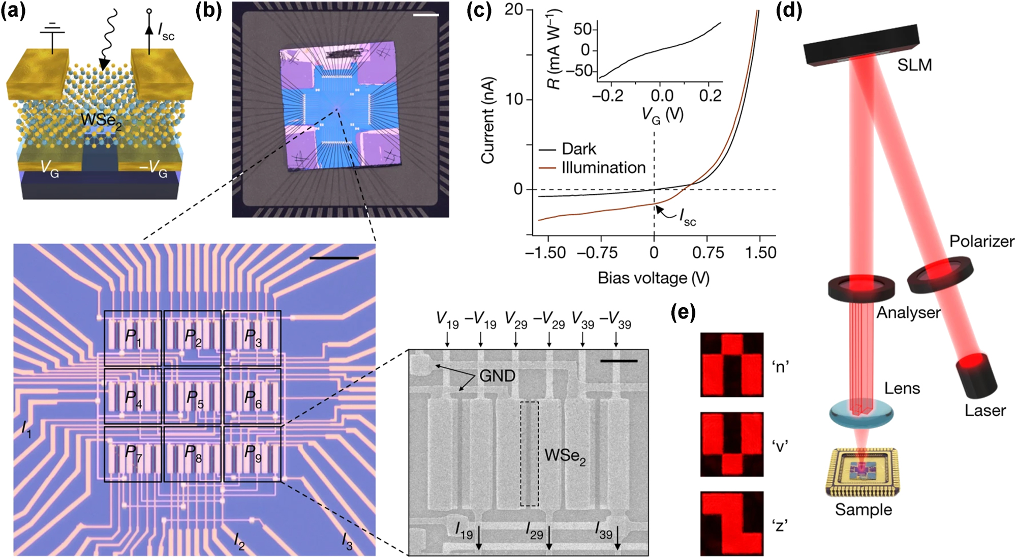 Figure 10: 
Implementation of the ANN photodiode array built with WSe2 photodiodes. The device is operated under short-circuit conditions and the photoresponsivity is set by supplying a voltage pair VG /-VG to the bottom-gate electrodes. (b) Macroscopic image of the bonded chip on the chip carrier. Scale bar, 2 mm. First magnification: microscope image of the photodiode array, which consists of 3 × 3 pixels. Scale bar, 15 µm. Second magnification: scanning electron microscopy image of one of the pixels. Each pixel consists of three WSe2 photodiodes/subpixels with responsivities set by the gate voltages. Scale bar, 3 µm. GND, ground electrode. (c) Current–voltage characteristic curve of one of the photodetectors in the dark (blue line) and under optical illumination (red line). The inset shows the gate-voltage tunability of the photoresponsivity. (d) Schematic illustration of the optical setup. Laser light is linearly polarized by a wire-grid polarizer and reflected by a spatial light modulator (SLM). The reflected light is then filtered by an analyser (intensity modulation) and the resulting image is projected onto the photodiode array. (e) Microscope images of the 3 × 3 pixel letters used for training/operation of the network. [72]. Reprinted from Ref. [72], with permission. Copyright 2024 Nature.
