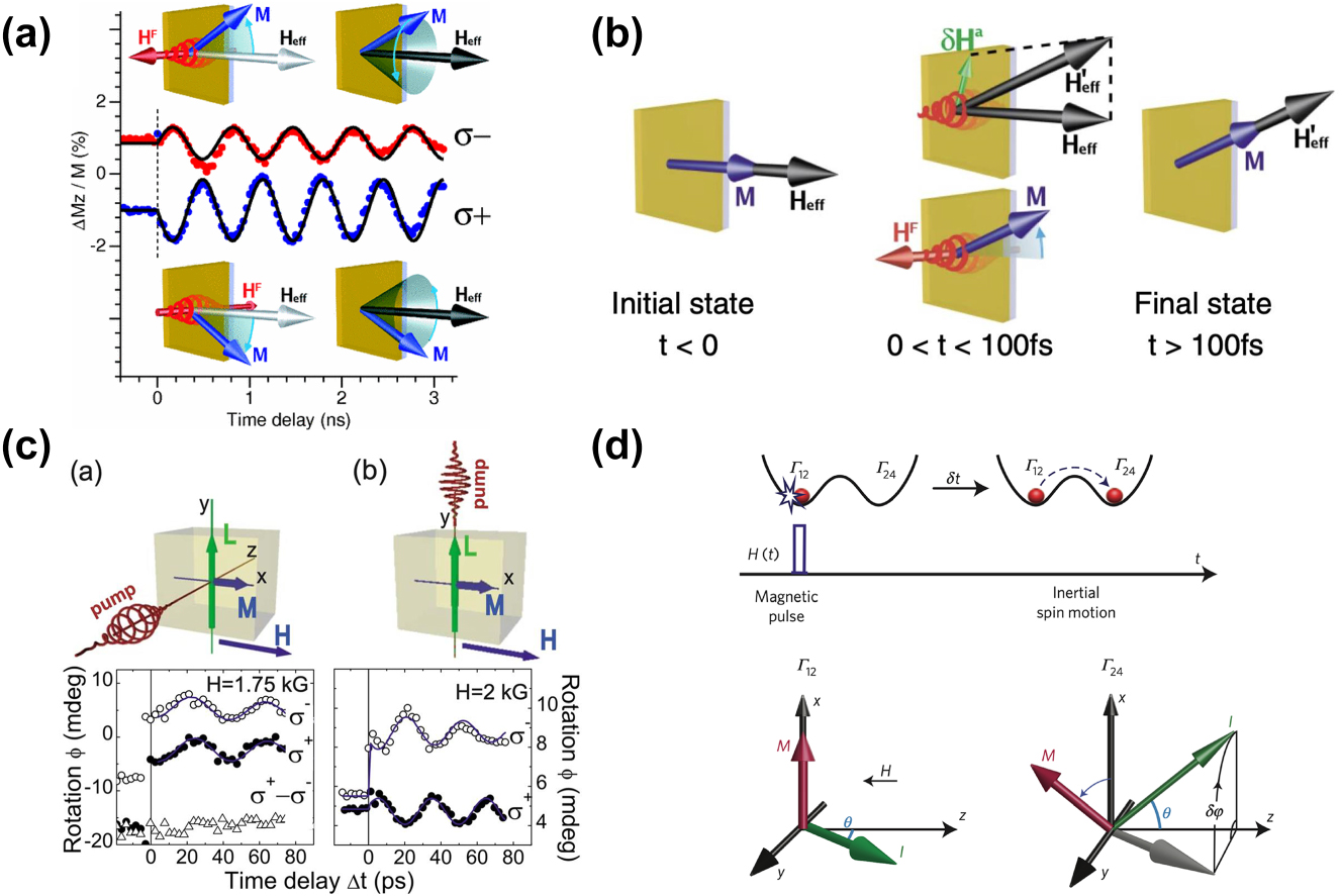 Figure 13: 
Optically controlled spintronic devices: (a) Circularly polarized light drives magnetic moment precession (garnet film). Precession of the magnetization following excitation with circularly polarized light. The two helicities σ
+ and σ
− give rise to precession with opposite phase and different amplitude [87]. (b) Graphical illustration of the switching process: Initially at t < 0 the magnetization is along H
eff. During the presence of the laser pulse 0 < t < 100 fs photoinduced modification of the anisotropy fields leads to a new metastable equilibrium along 




H


eff


′




${\mathbf{H}}_{\text{eff}}^{\prime }$



 [87]. (c) Spin precession excited by circularly polarized pump pulses propagating along the z axis and along the y axis. σ
+ − σ
− is the difference between the spin precession amplitude excited by right- and left-handed circularly polarized pump pulses [88]. (d) Spin switching in HoFeO3, Γ12 and Γ24 are the two metastable phases present between 38 and 52 K. H represents an effective magnetic-field pulse that initiates an inertial motion of spins from the Γ12 to the Γ24 magnetic phase [89]. (a-b) are reprinted from Ref. [87], with permission. Copyright, 2024 American Physical Society; (c) is reprinted from Ref. [88], with permission. Copyright, 2024 American Physical Society; (d) is reprinted from Ref. [89], with permission. Copyright, 2024 Nature.
