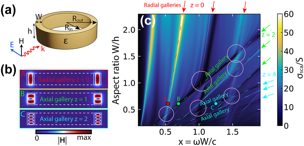 Figure 2:
Eigenmodes and cascades of q-BICs of dielectric ring resonators. (a) Narrow dielectric ring and its parameters. (b) The distribution of the magnetic field |H| corresponds to the radial (A) and two axial galleries with z = 2 (B) and z = 4 (C), which are highlighted in (c) with red, green, and blue arrows, circles, and dotted lines. (c) Scattering map σ
sca of the ring resonator with variable height h and constant R
in and R
out and, accordingly, constant W. The scattering cross section is normalized to the geometric shadow S = 2R
out
h. Size parameter x = ωW/c. The surrounding space is air. Pink circles mark some of the many avoided crossing areas of the ring galleries. R
in/R
out = 0.81, ɛ = 43.