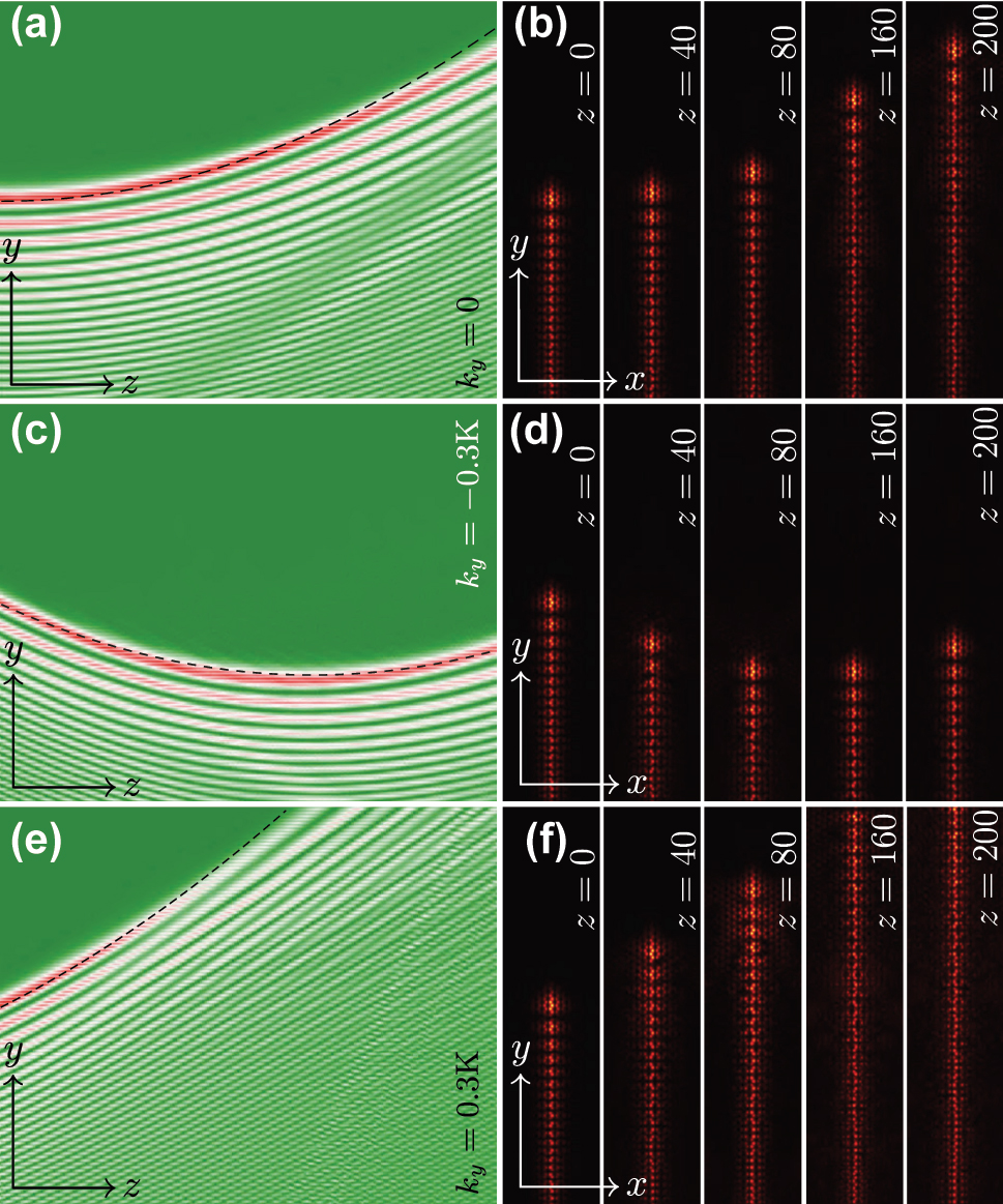 Figure 4:
Self-accelerating topological edge states in nonlinear regime. (a) Evolution dynamics of the nonlinear self-accelerating valley Hall edge state at k
y
= 0, for χ ≈ 0.1592, b″ ≈ −0.7763, μ = 0.002, and
|
A
|
max
=
0.63
$\vert \mathcal{A}{\vert }_{\max }=0.63$
. (b) Field modulus distributions |ψ(x, y)| at selected propagation distances. (c, d) Same as in (a, b), but for k
y
= −0.3K
y
, at χ ≈ 0.1663, |b′| ≈ 0.5029, b″ ≈ −0.6584, and
|
A
|
max
=
0.61
$\vert \mathcal{A}{\vert }_{\max }=0.61$
. (e, f) Same as (c, d) but for and k
y
= +0.3K
y
. Dashed lines in (a, c, e) stand for the predicted accelerating trajectories. Panels in (a, c, e) are shown in the window 0 ≤ z ≤ 200, −80 ≤ y ≤ 80. Panels in (b, d, f) are shown in the window −20 ≤ x ≤ 20 and −80 ≤ y ≤ 80. For all cases: μ = 0.002.