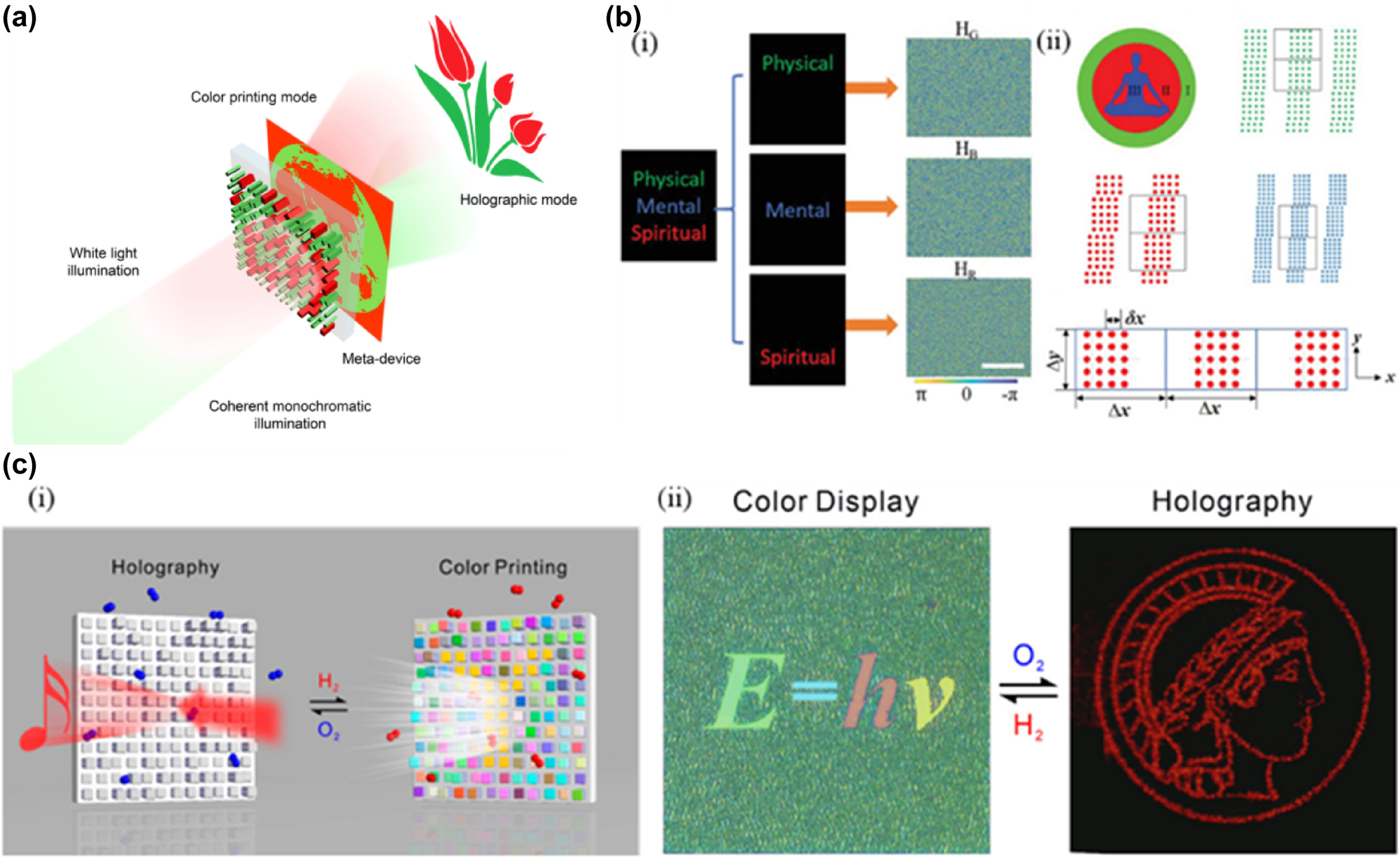 Figure 9: 
All-Dielectric Metasurface with Dual-Functionality for Color Printing and Far-Field Holography. a) Schematic illustration of the all-dielectric metasurface that integrates dual working modes for incoherent color printing and far-field holography by simultaneously modulating spatial and spectral responses. b) The design principle encodes a color hologram into a color-printed image. (i) The target holographic image consists of the words “Physical” (in green), “Mental” (in blue), and “Spiritual” (in red). The Target image is decomposed by color into three sub-images, and three phase-only holograms HG, HB, and HR are calculated, and (ii) the Yoga is image to be color-printed and schematic illustrations of green, red, and blue supercells. A black box indicates the extent of each supercell. c) (i) Schematic illustration of the dual-function switching between dynamic holography and dynamic color display by hydrogenation (H2) and dehydrogenation (O2) and (ii) switching between dynamic color display and dynamic holography through hydrogenation and dehydrogenation. a) Reprinted from Ref. [150], under the terms of the Open Access Publishing Agreement; b) reprinted from Ref. [151], with permission from John Wiley and Sons; c) reprinted from Ref. [152], under the terms of the Open Access Publishing Agreement;
