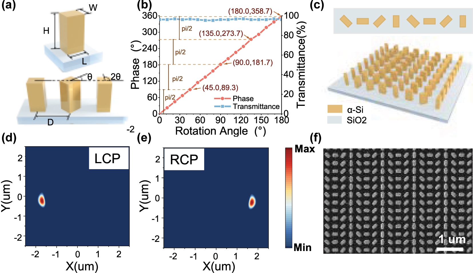 Figure 2: 
Design and Simulation of metasurface. (a) Structural diagram of metasurface nanopillar. (b) Simulated phase and transmittance of the outgoing light at each rotation angle. (c) Model diagram of polarized metasurface. (d–e) Electric vector distributions of LCP and RCP in the outgoing light field. (f) Metasurface SEM image.
