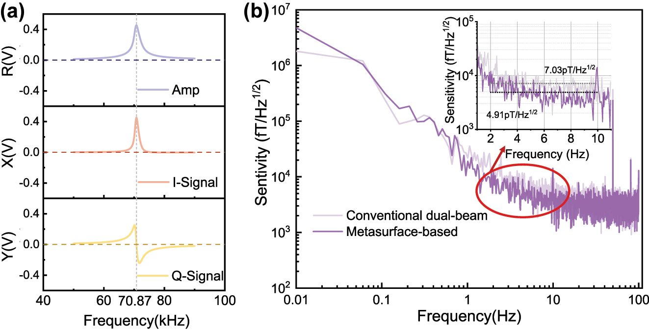 Figure 5: 
OPM system performance based on polarized metasurface. (a) OPM magnetic resonance signal at 10 μT magnetic field. I-signal: in-phase signal. Q-signal: quadrature-phase signal. (b) Sensitivity of OPM based on polarized metasurface and dual-beam OPM based on conventional optics at 10 μT magnetic field.

