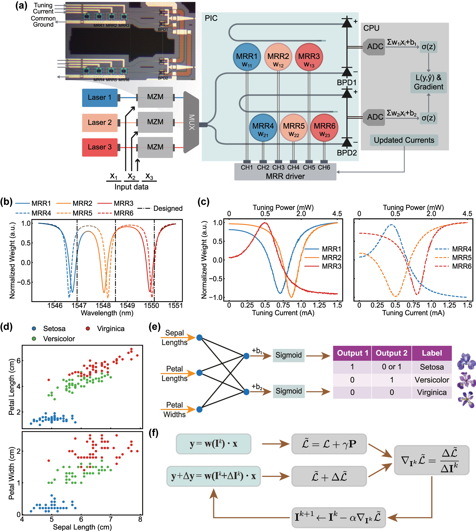 Teaser image from the article