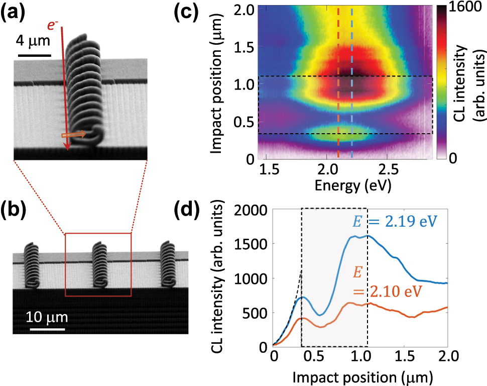 Figure 2:
3D-printed helical waveguide. (a) Secondary electron image of a single 3D-printed helical waveguide. (b) SE image of a series of such waveguides arranged on a plateau. (c) CL spectra as a function of the electron impact position along the path indicated by the arrow in (a). The region within the core of the helical waveguide and its metallic shell is highlighted with a dashed, shaded box. (d) Linear plots of the CL intensity versus electron impact position at the specified photon energies.