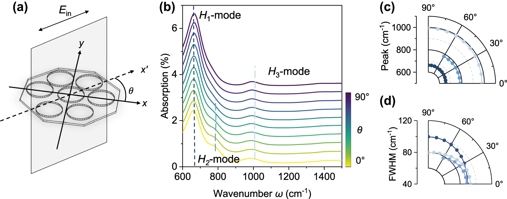 Figure 3: 
Engineering super- and sub-radiant states via polarization manipulation. (a) Schematic defining the polarization angle, θ, between the incident electric field (E
in, aligned with the x′-axis) and the primary axis (x-axis) of the metasurface structure. All simulations are performed with a graphene Fermi energy of 0.5 eV. (b) Polarization-dependent absorption spectra as θ is varied from 0° to 90°. While the resonance frequencies of the three hybrid modes (H
1, H
2, H
3) remain stable, the absorption intensity of the H
2-mode is dramatically suppressed as θ approaches 90°. This behavior is a hallmark of a transition to a sub-radiant, caused by destructive interference between coupled oscillators. (c) Polar plot of the resonance frequencies, confirming their stability across the full range of polarization angles. (d) Polar plot of the full width at half maximum (FWHM), which reflects the radiative damping rate of each mode. The significant broadening of the H
1 mode FWHM near θ = 90° indicates enhanced radiative coupling, characteristic of a super-radiant mode.
