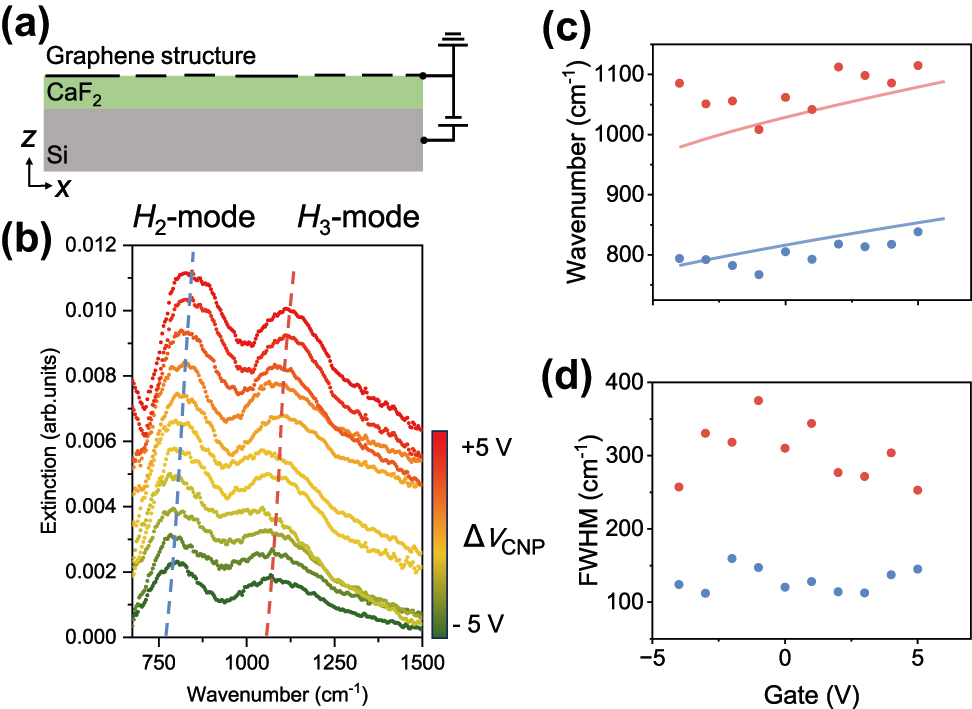 Figure 4: 
Electrical tuning of the hybrid plasmonic devices. (a) Schematic of the back-gated devices, where an applied voltage modulates the carrier concentration and the Fermi energy (E
F) in the graphene metasurface. (b) Experimental extinction spectra as a function of the gate voltage relative to the charge neutrality point (ΔV
CNP). As E
F is increased, the hybrid modes H
2 (blue dashed lines) and H
3 (red dashed lines) exhibit a clear and continuous blueshift. (c) Resonance frequencies of the H
2 (blue) and H
3 (red) modes plotted as a function of gate voltage. The experimental data (scattered dots) show excellent agreement with theoretical simulations (solid lines), confirming the robust electrical tunability of the devices. (d) Extracted FWHM for both modes. The linewidths remain relatively stable across a wide tuning range, indicating that the mode lifetimes are robust and largely independent of the carrier concentration.
