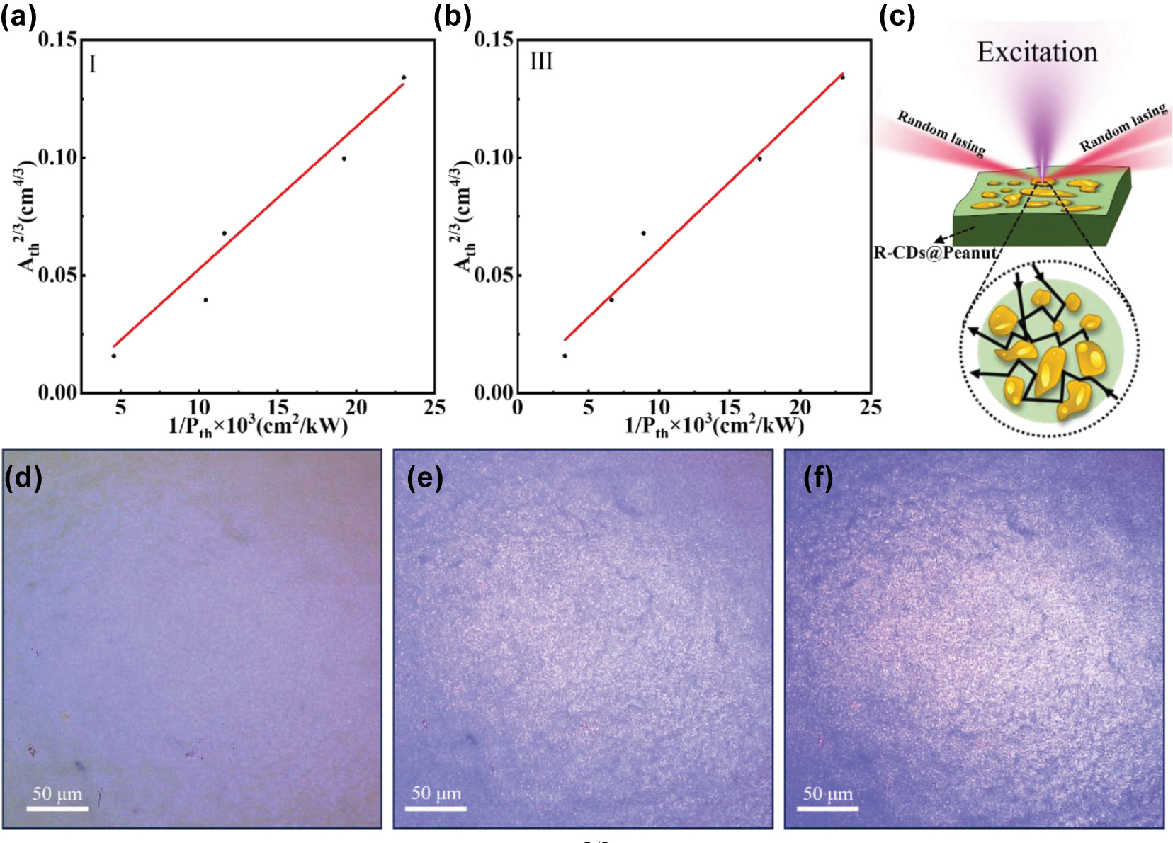 Figure 4: 
The plot of the excitation area Ath2/3 versus laser threshold 1/Pth of the R-CDs@Peanut Surface I (a) and III (b). (c) Schematic diagram of the R-CDs@Peanut biomaterial-based random laser. (d) and (e) Optical micrographs of the lasing areas on R-CDs@Peanut under different excitation power.

