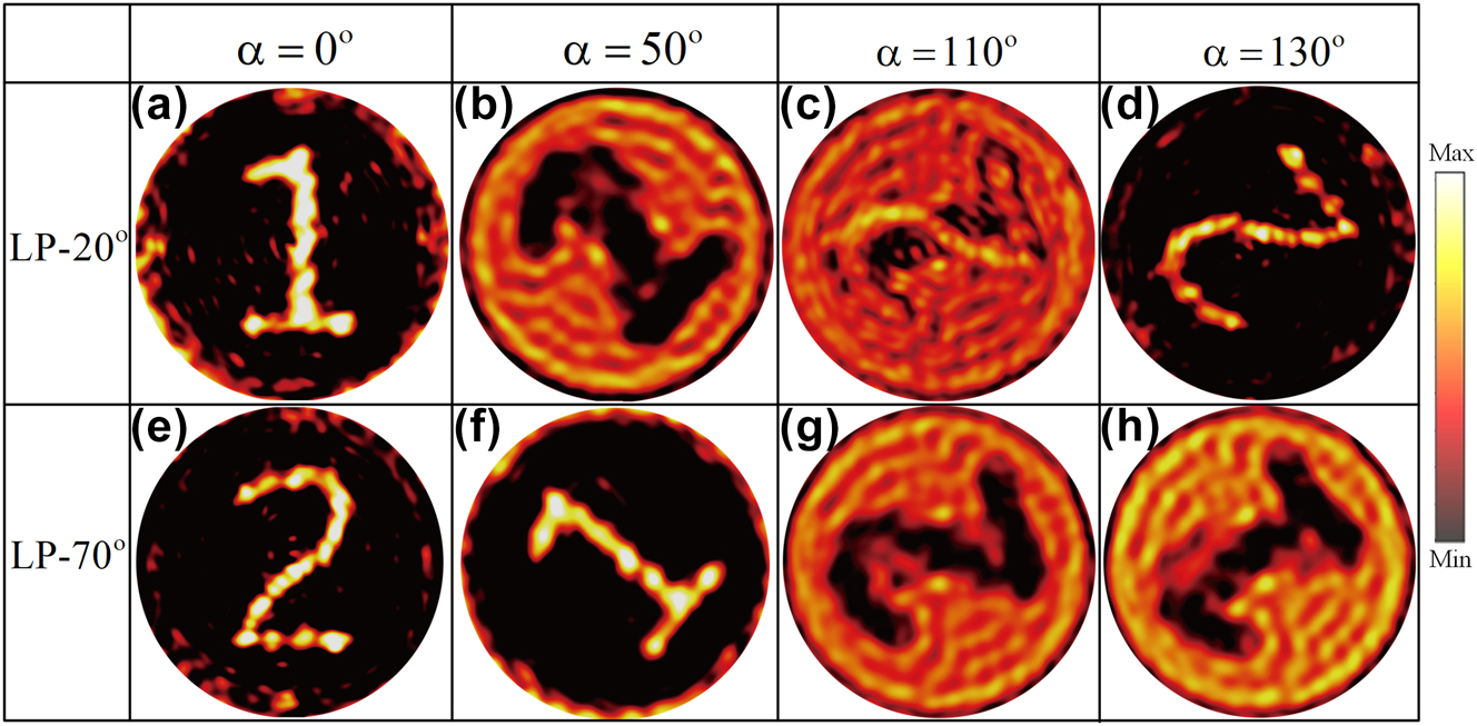Figure 4:
Simulated holographic imaging results for disk rotation angles of 0°, 50°, 110°, and 130° under an incident polarization angle of (a)–(d) θ1 = 20° and (e)–(h) θ2 = 70°.