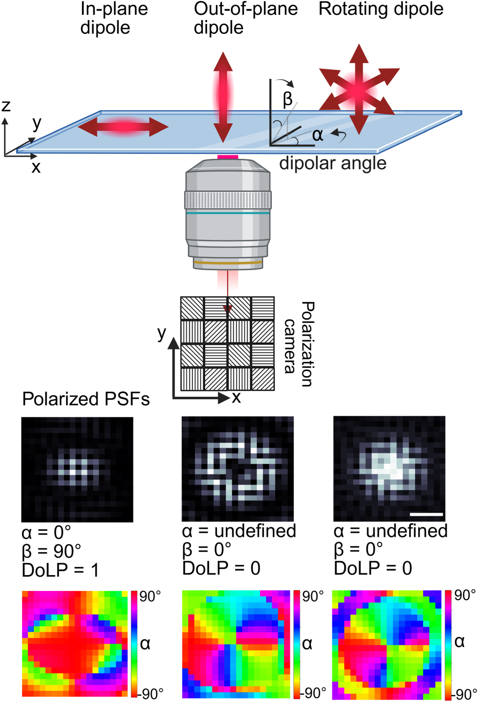 Teaser image from the article