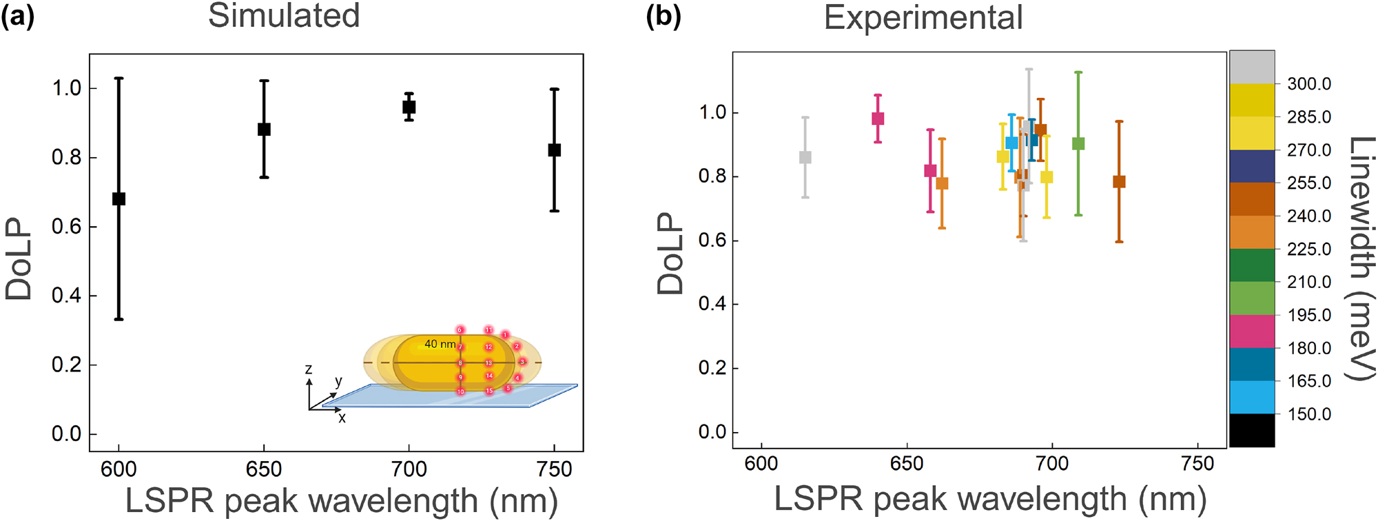 Figure 5: 
Correlation of DoLP with LSPR peak wavelength. (a) Simulated results showing the relationship between DoLP and the peak LSPR wavelength for nanorods with varying aspect ratios. Emitters are placed at different positions for each nanorod size, as illustrated in the inset. (b) Experimental results depicting the correlation between DoLP, peak LSPR wavelength, and linewidth of single nanorods.
